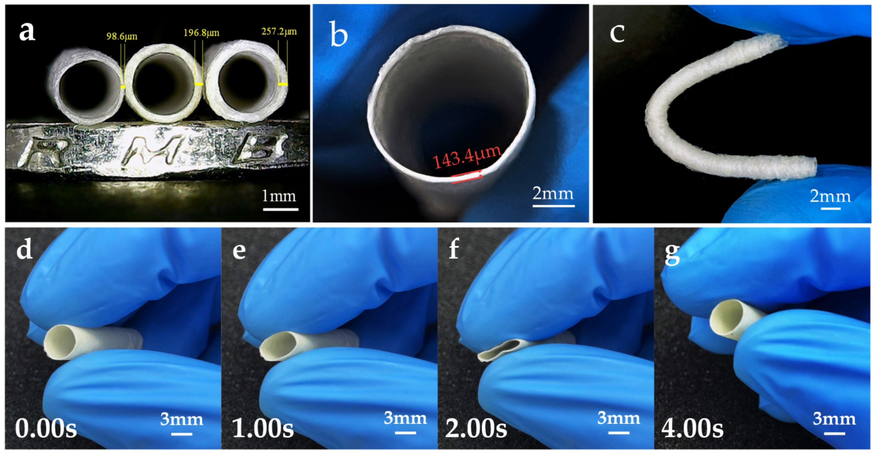 Polymers 15 01755 g008a