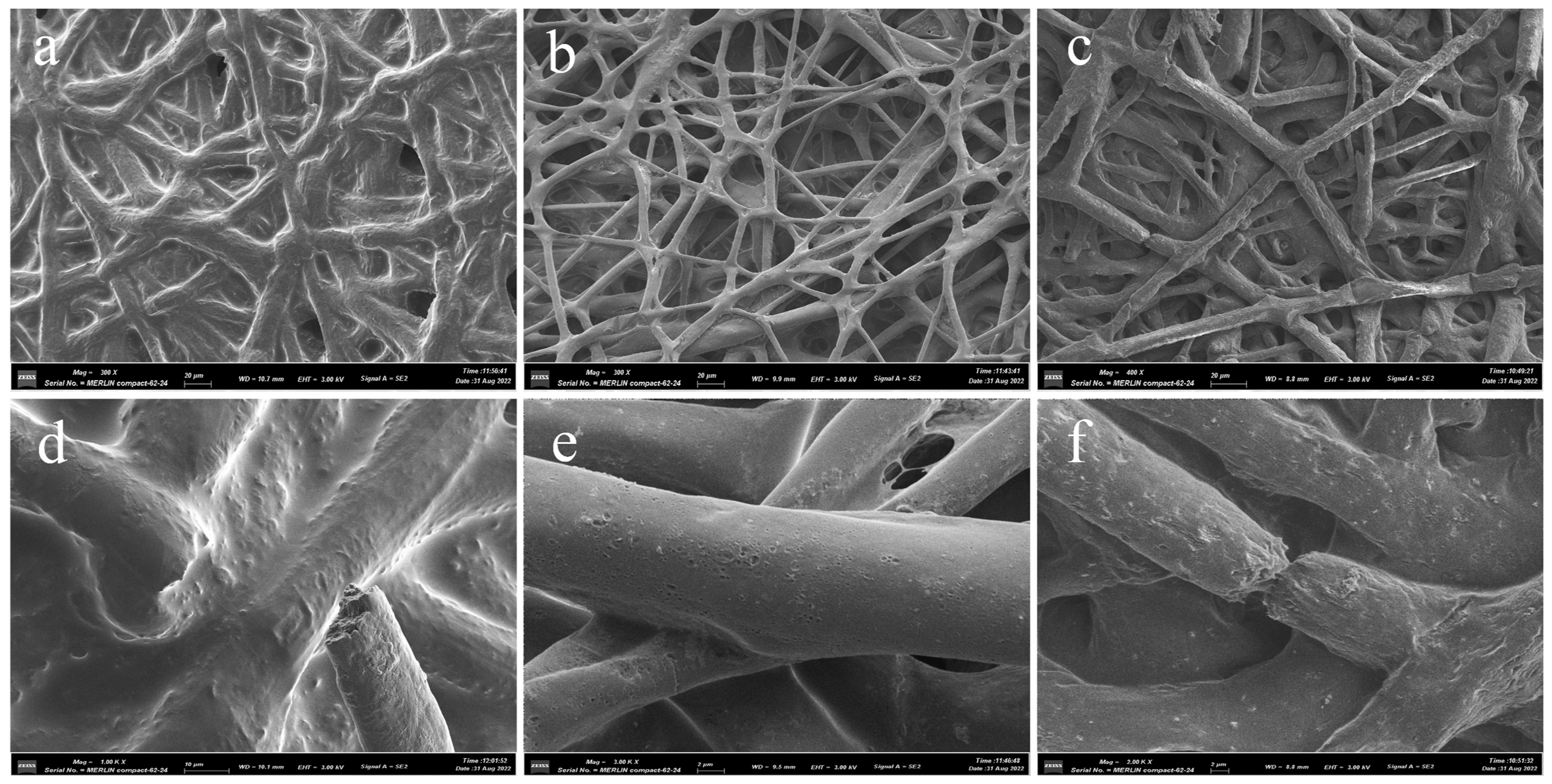 Polymers 15 01755 g009
