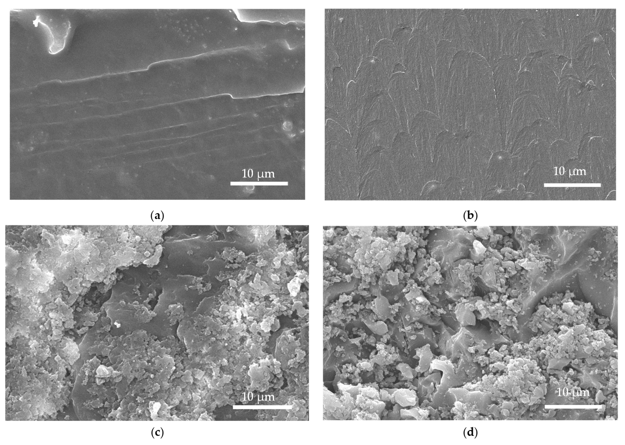 Polymers 15 01756 g017