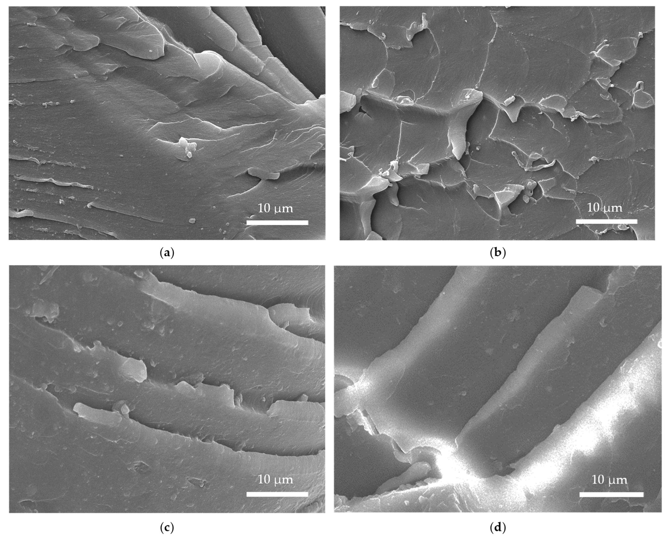 Polymers 15 01756 g019