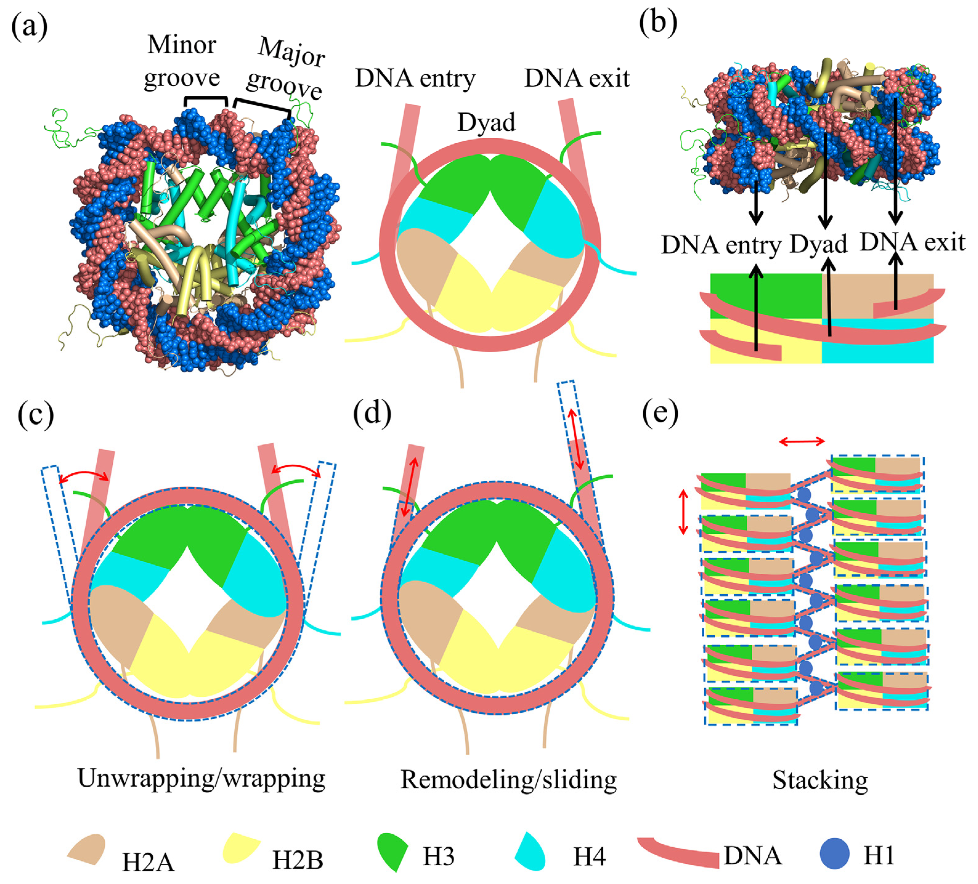 Polymers 15 01763 g001 Polymers 15 01763 g001