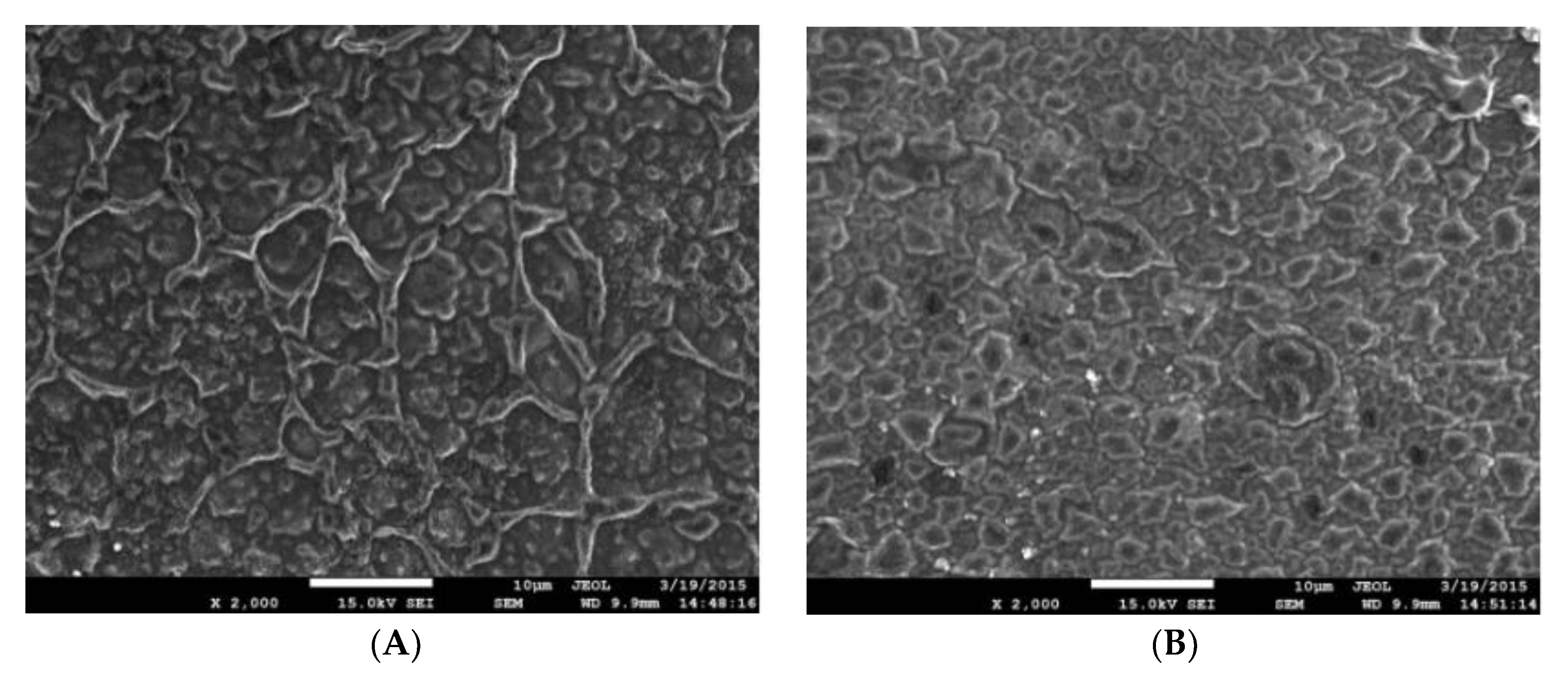 Polymers 15 01764 g009 Polymers 15 01764 g009