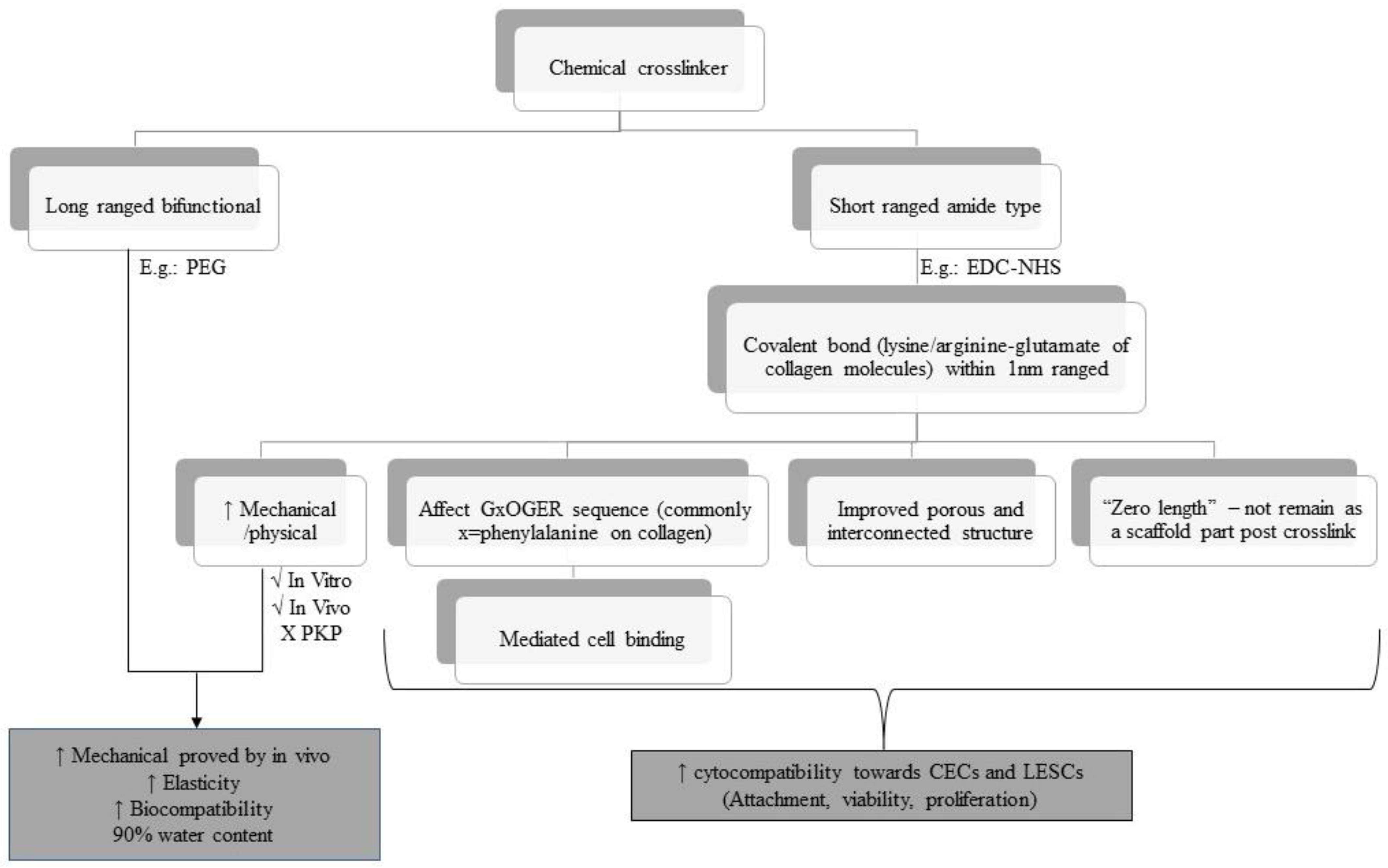 Polymers 15 01766 g005 Polymers 15 01766 g005
