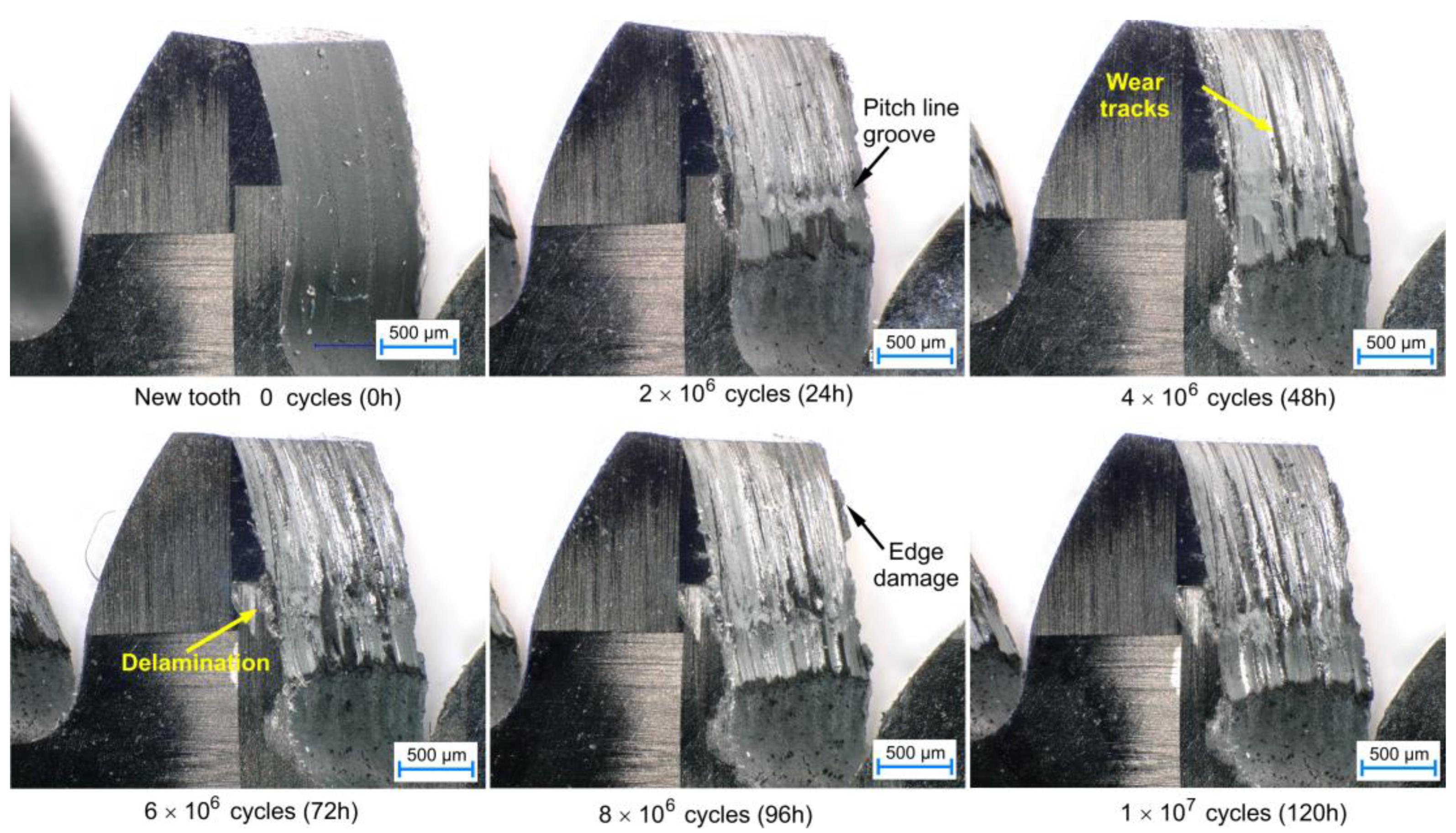 Polymers 15 01767 g012 Polymers 15 01767 g012