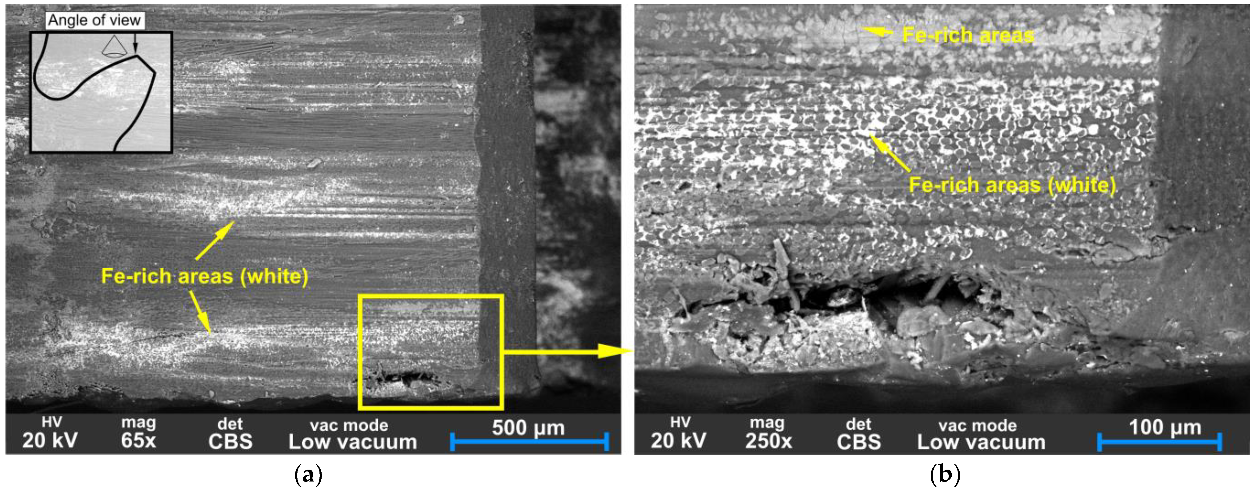 Polymers 15 01767 g019 Polymers 15 01767 g019