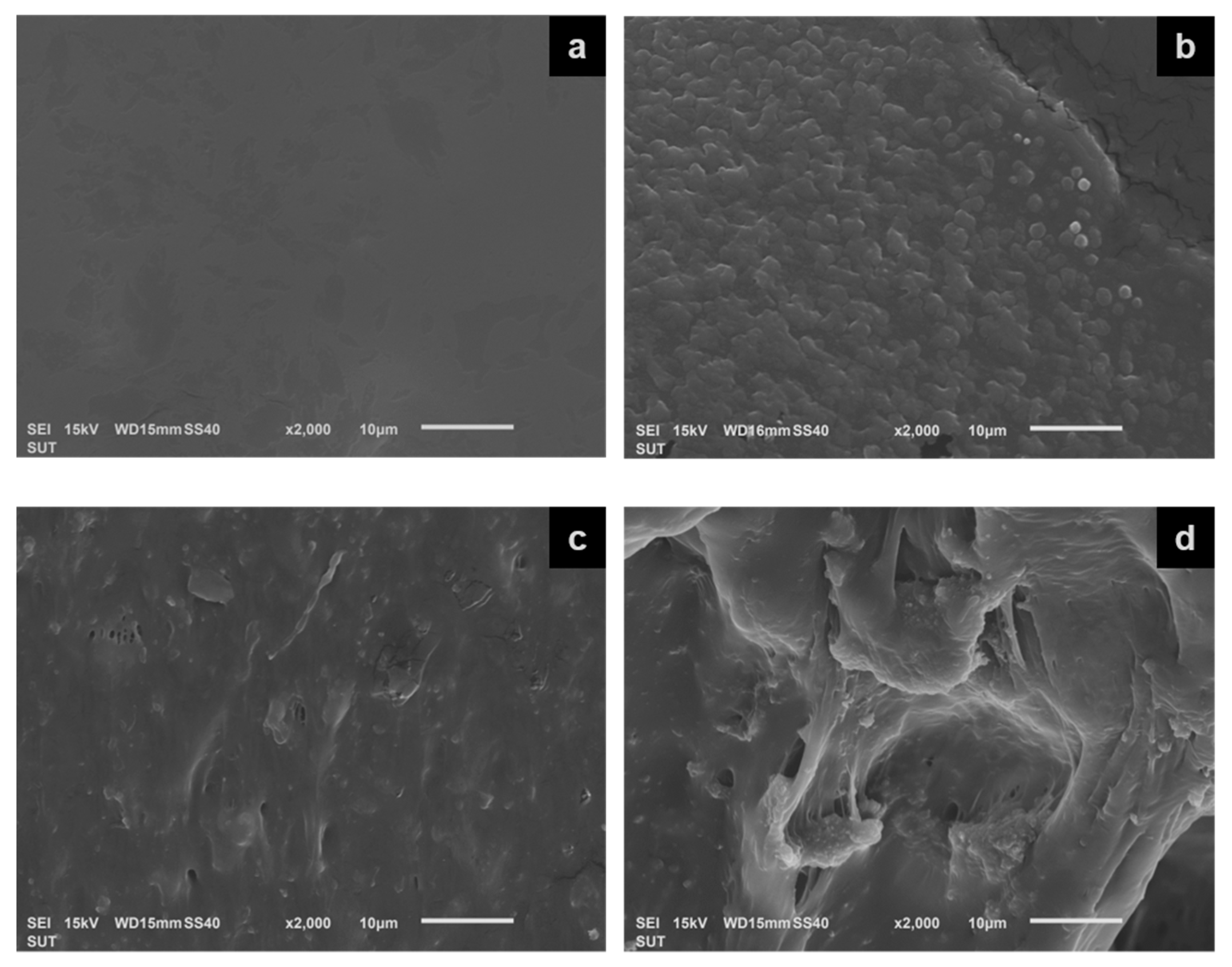 Polymers 15 01770 g006 Polymers 15 01770 g006