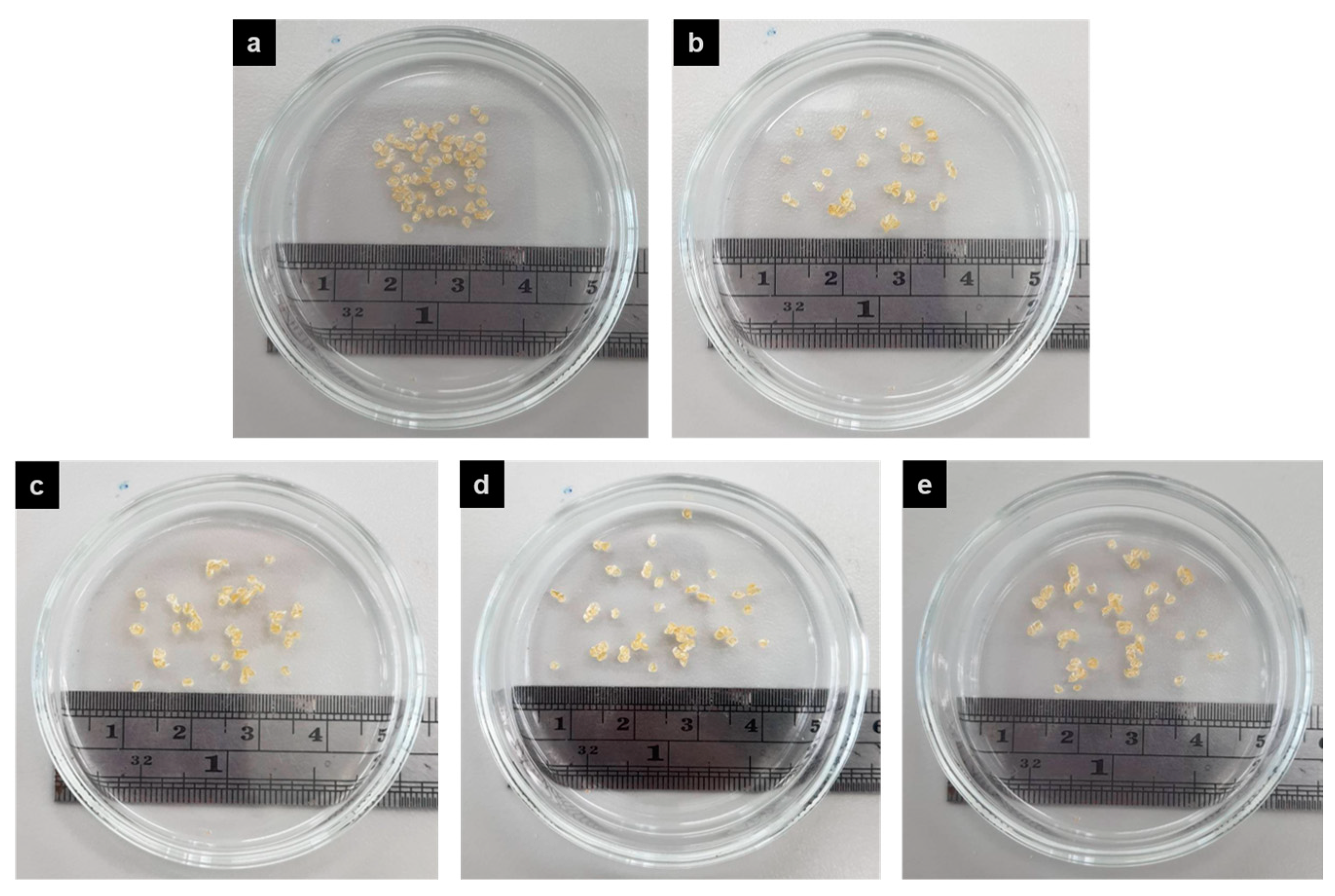 Polymers 15 01770 g011 Polymers 15 01770 g011