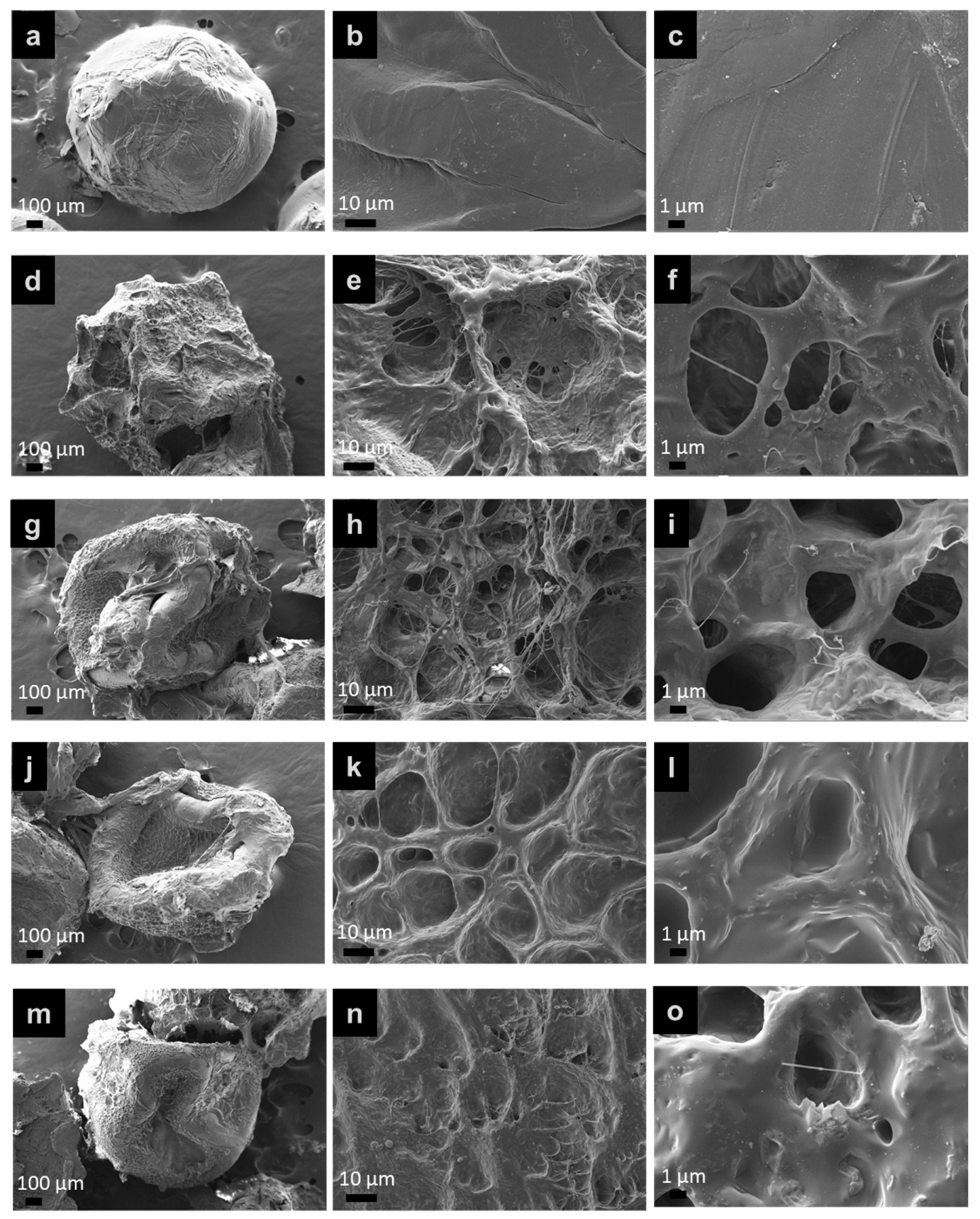 Polymers 15 01770 g012 Polymers 15 01770 g012
