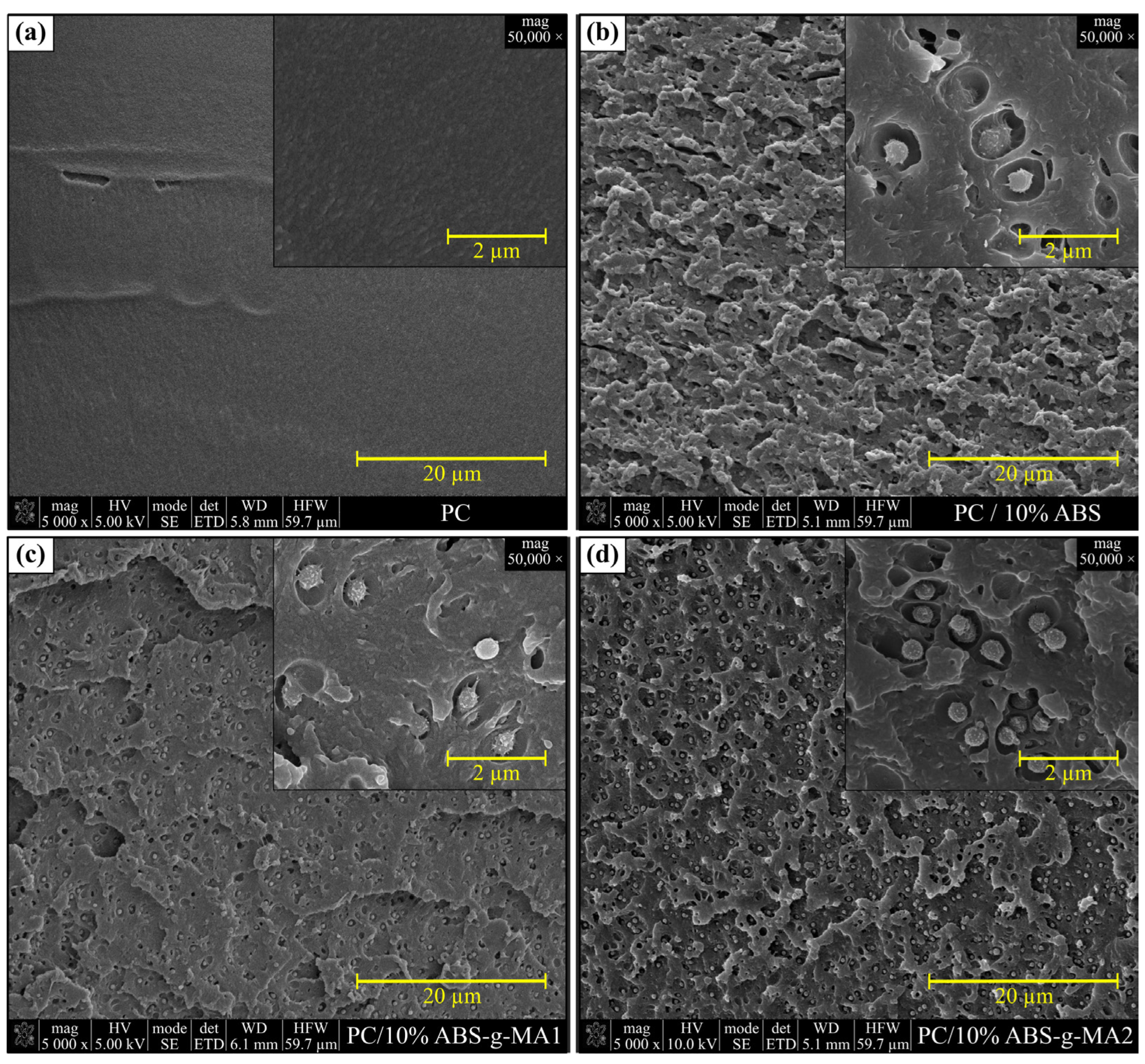 Polymers 15 01773 g004 Polymers 15 01773 g004
