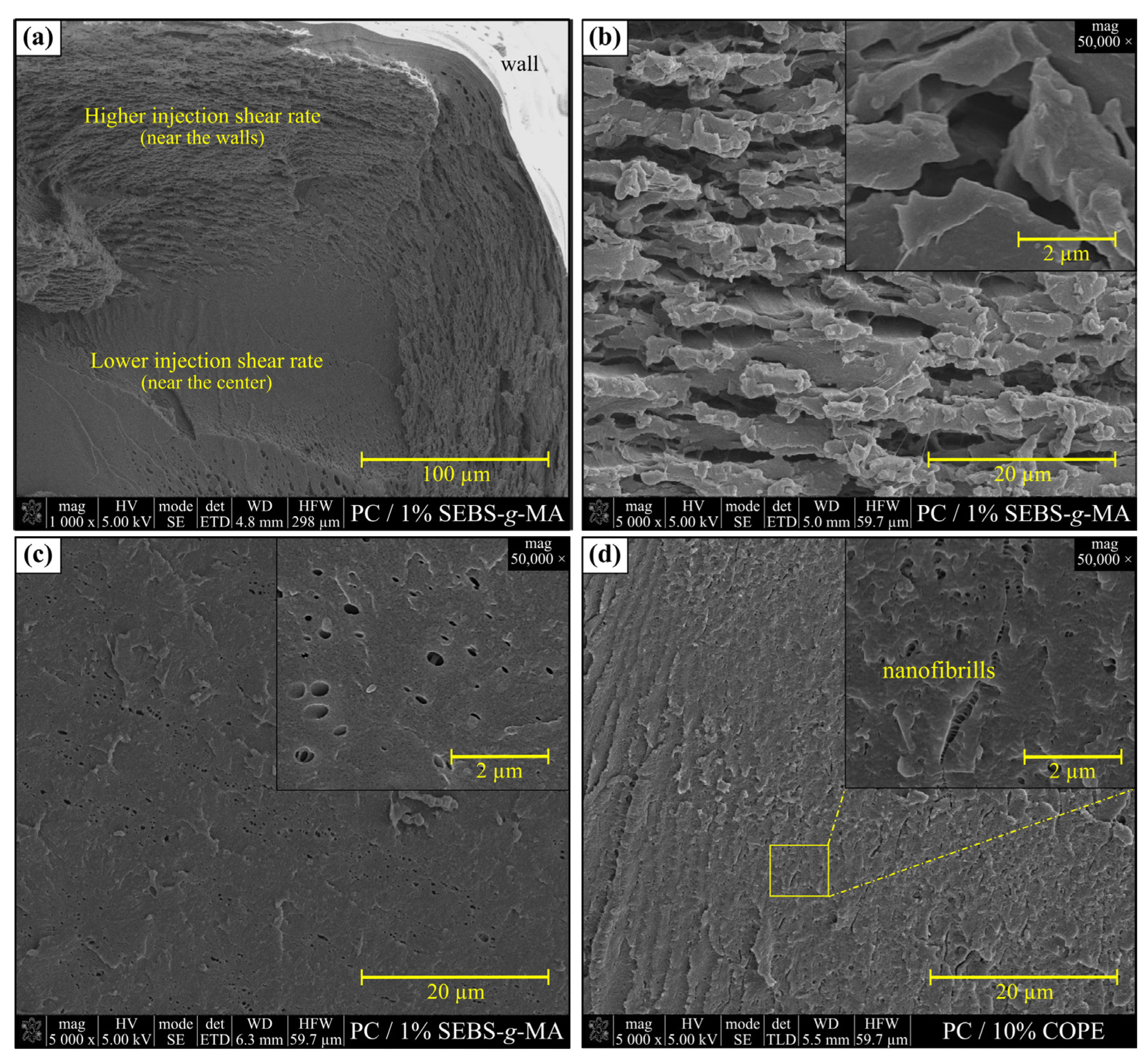Polymers 15 01773 g005 Polymers 15 01773 g005
