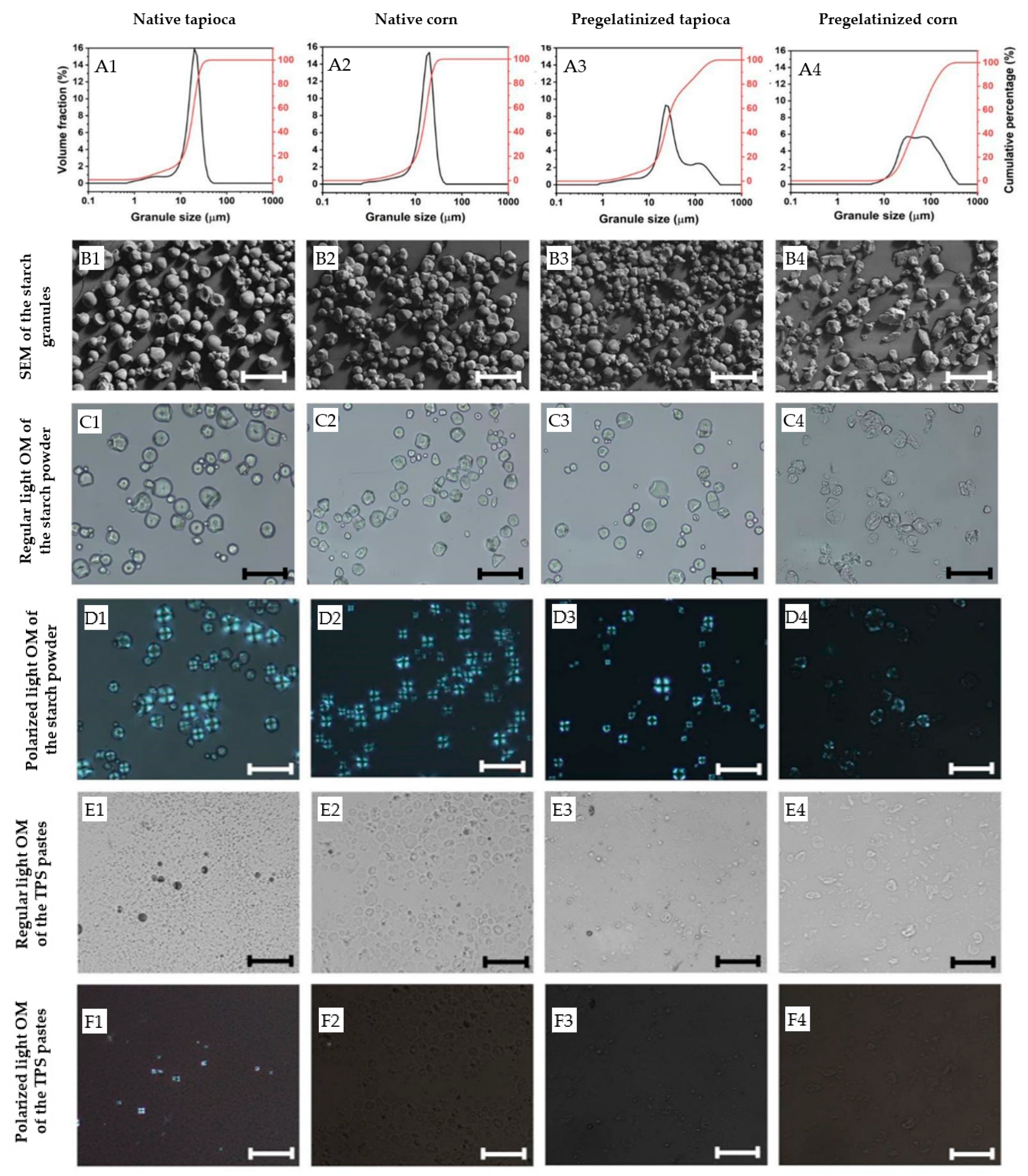Polymers 15 01775 g003