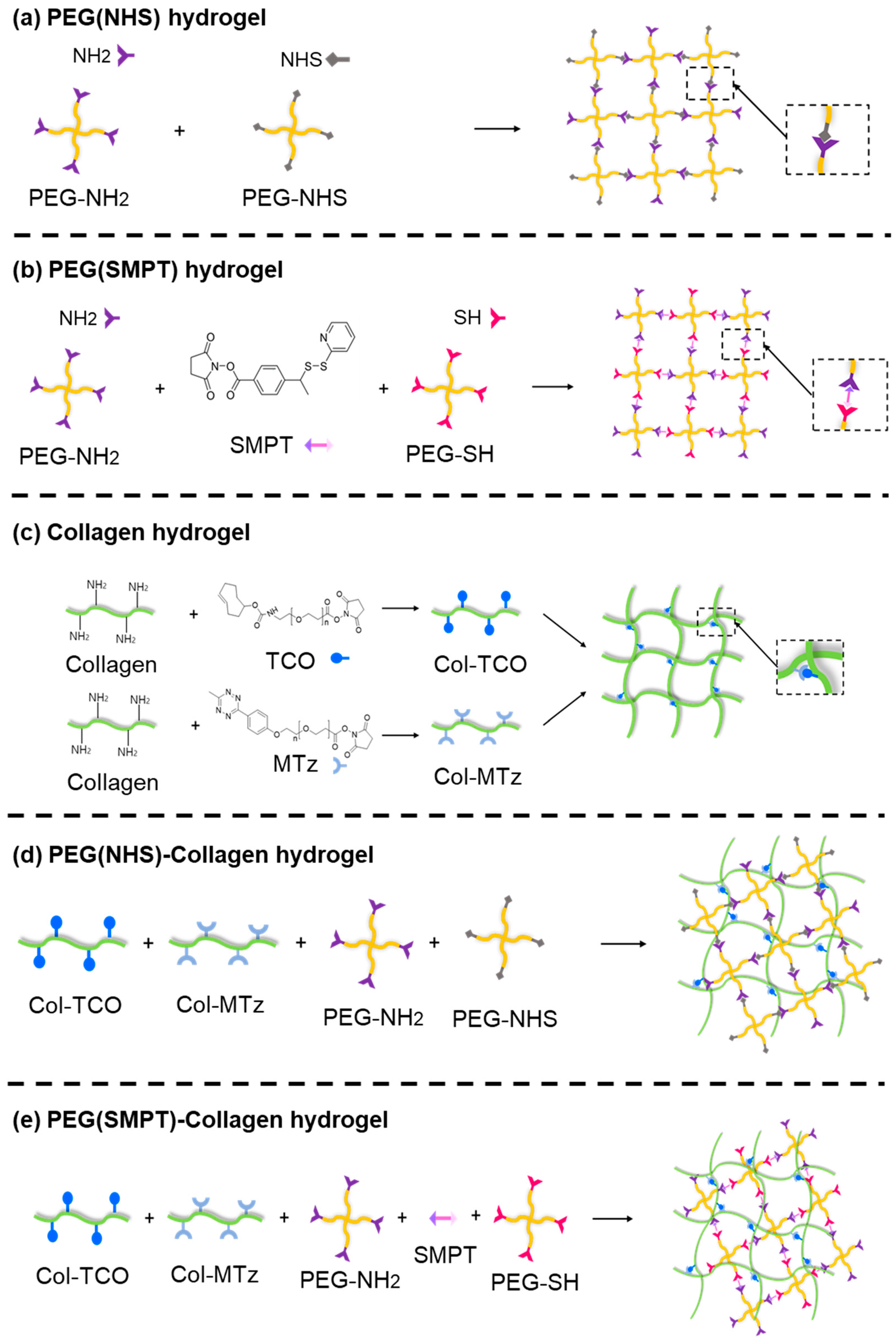 Polymers 15 01777 g001