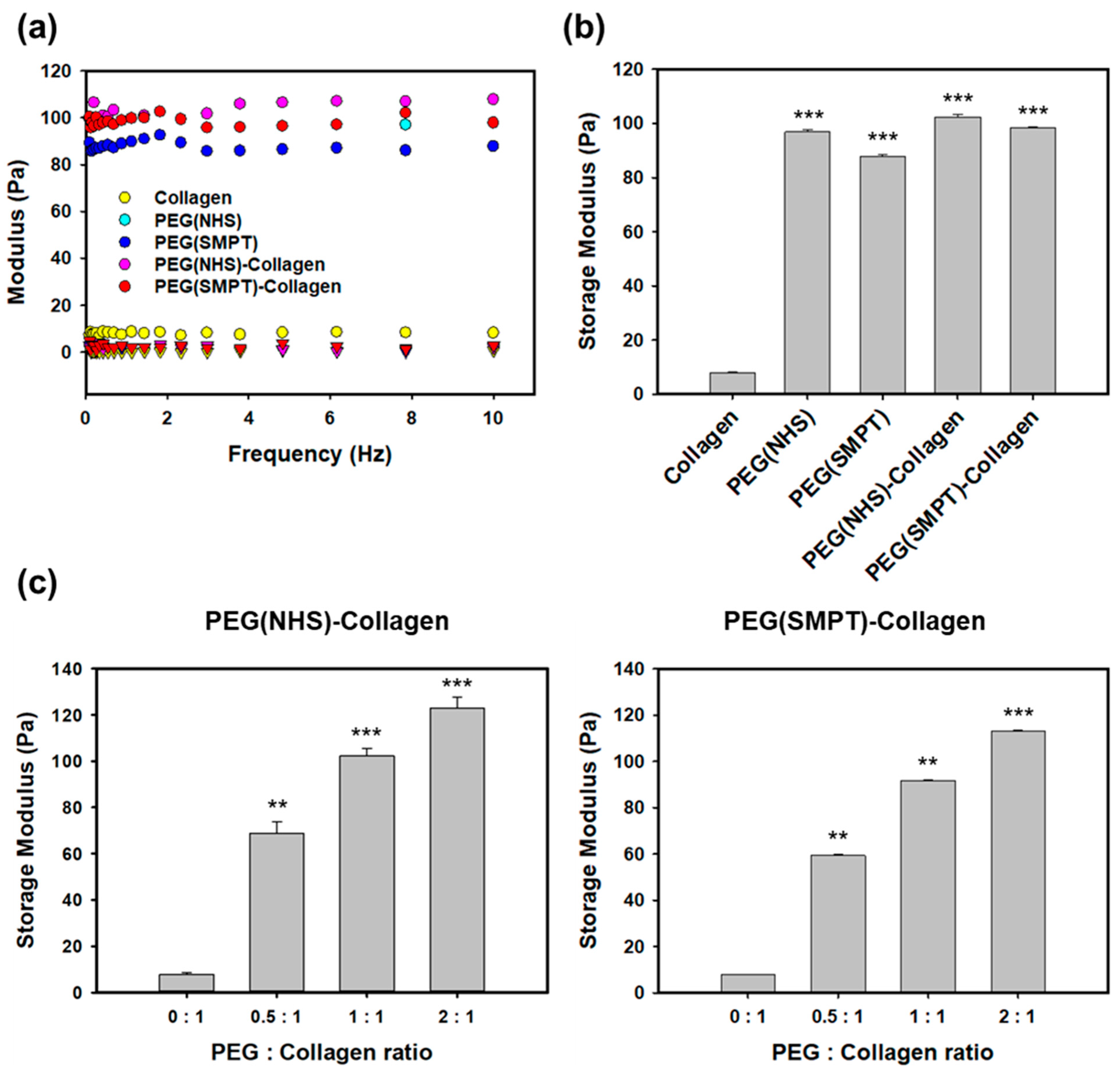 Polymers 15 01777 g002