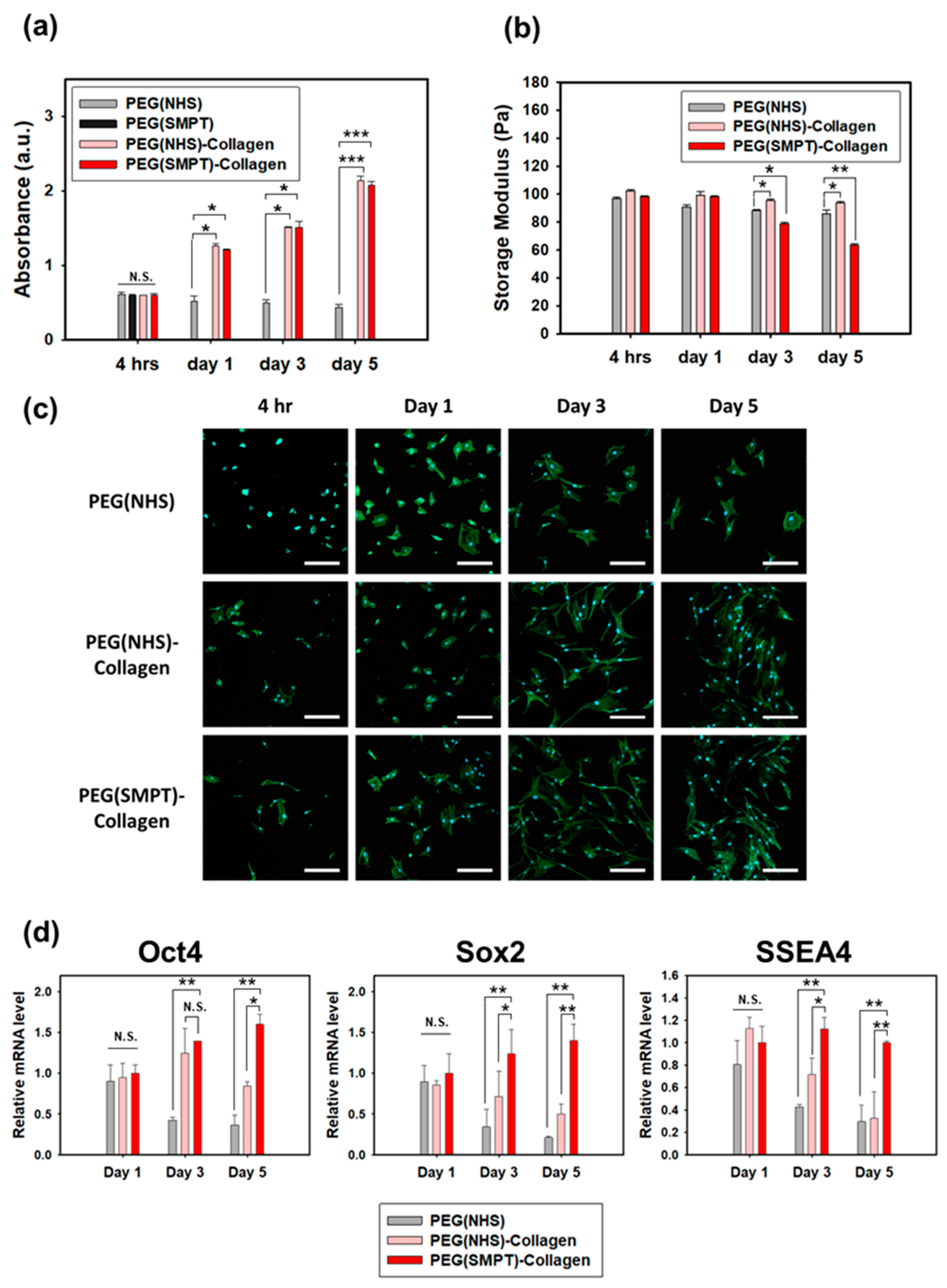 Polymers 15 01777 g003