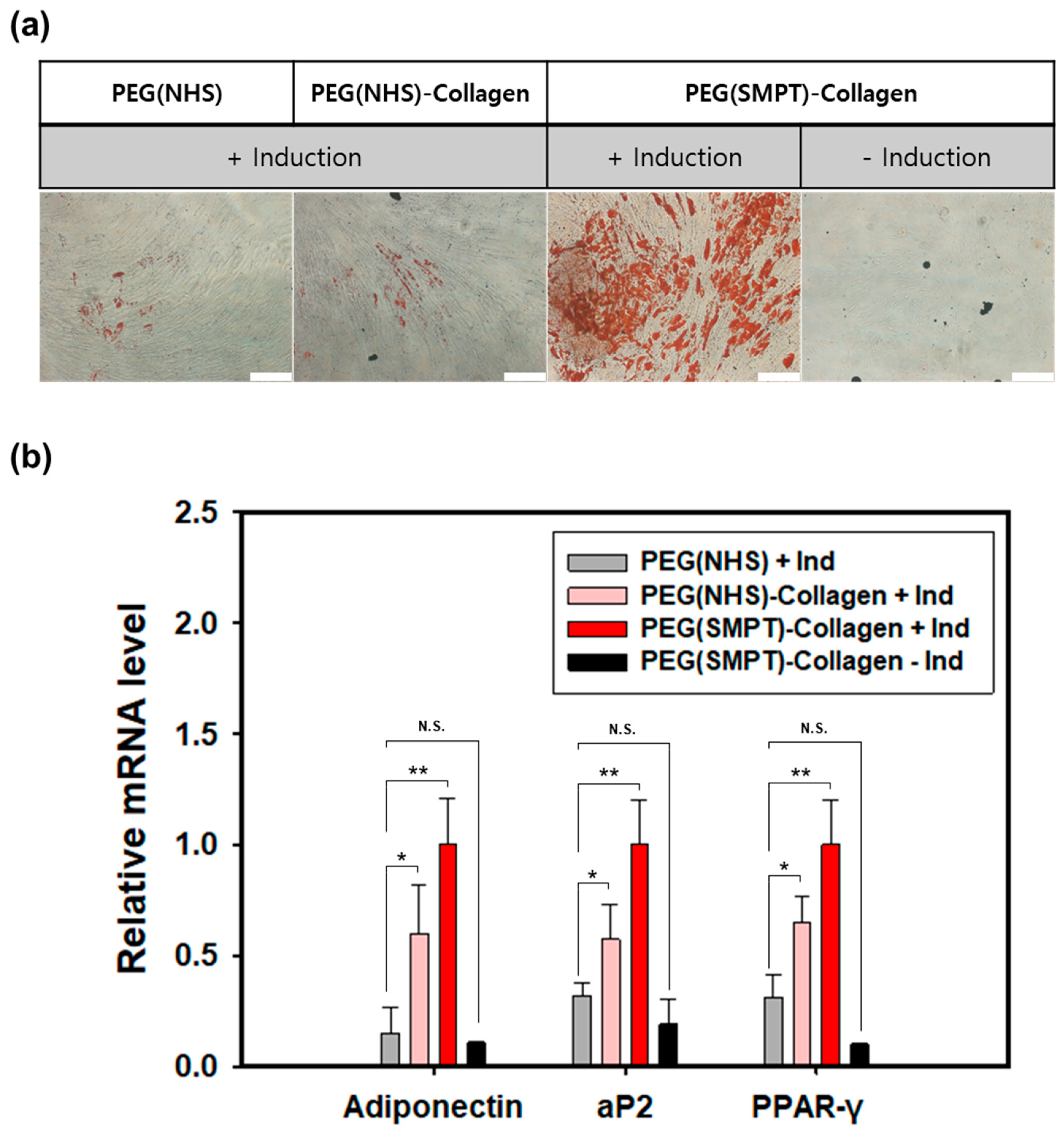 Polymers 15 01777 g004