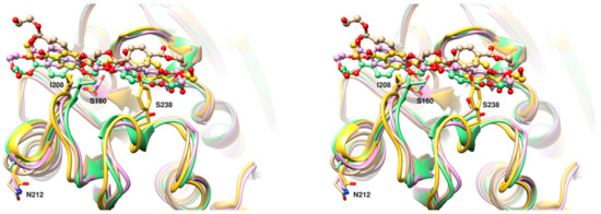 Petase Structure Degradation of PET Bottles by an Engineered Ideonella sakaiensis PETase
