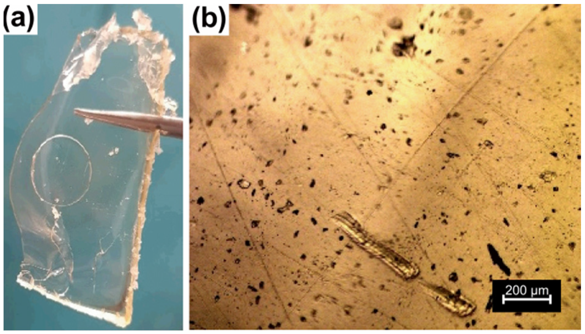 Polymers 15 01795 g002