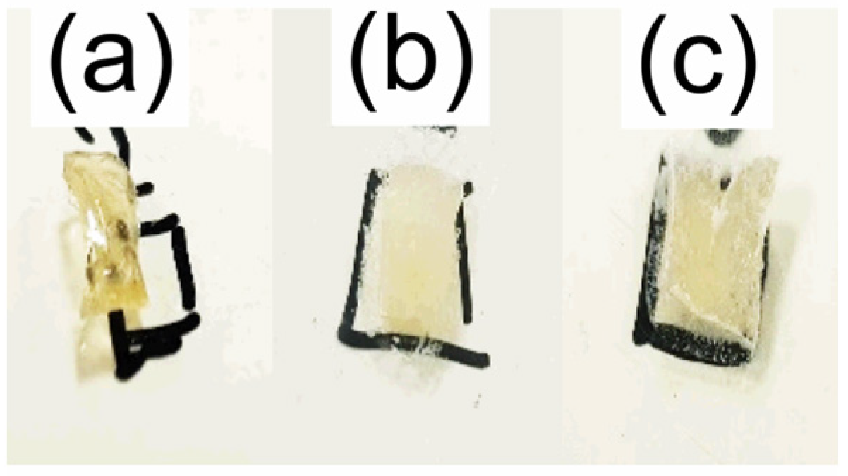 Polymers 15 01795 g008