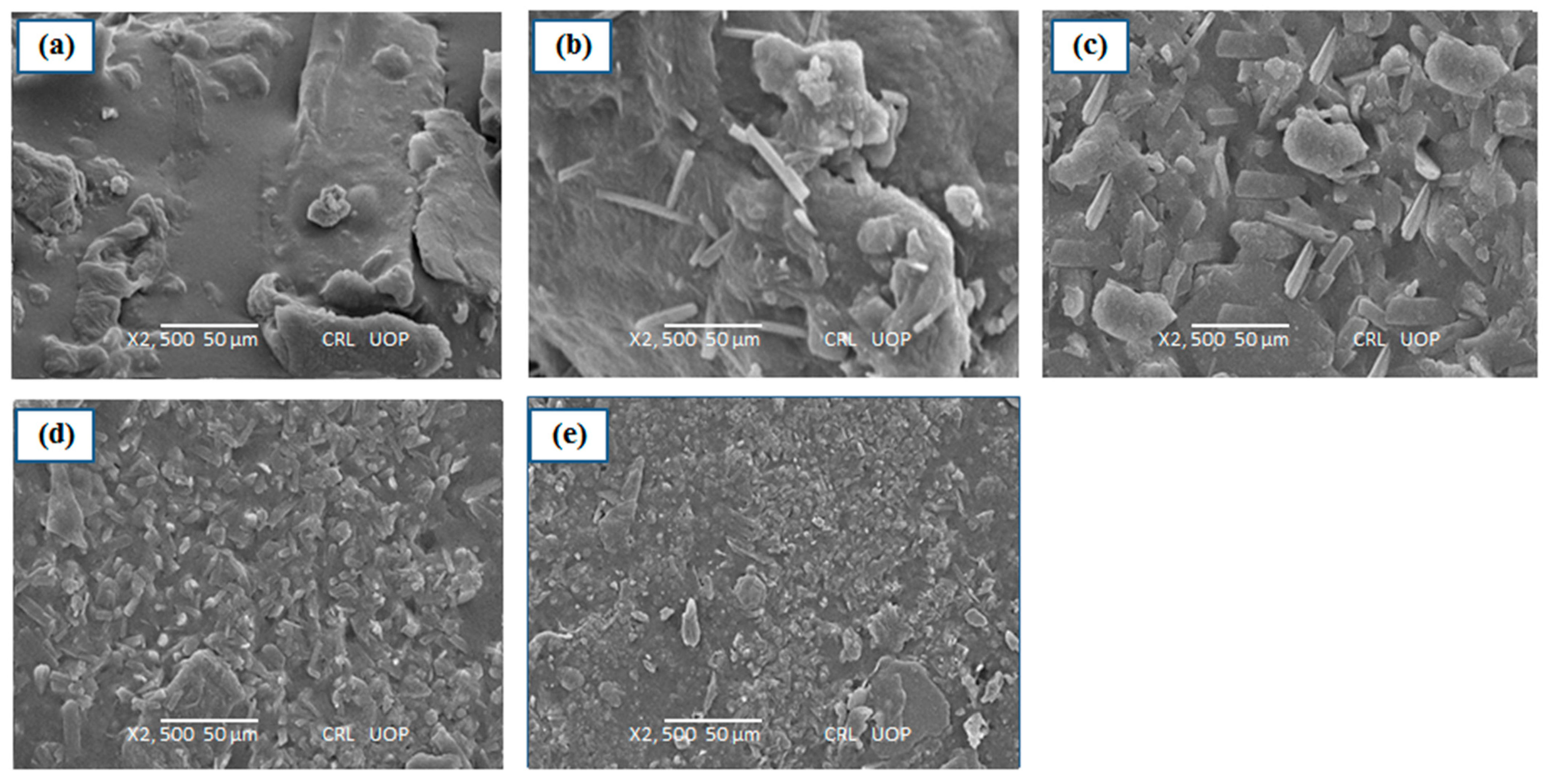 Polymers 15 01798 g004 Polymers 15 01798 g004