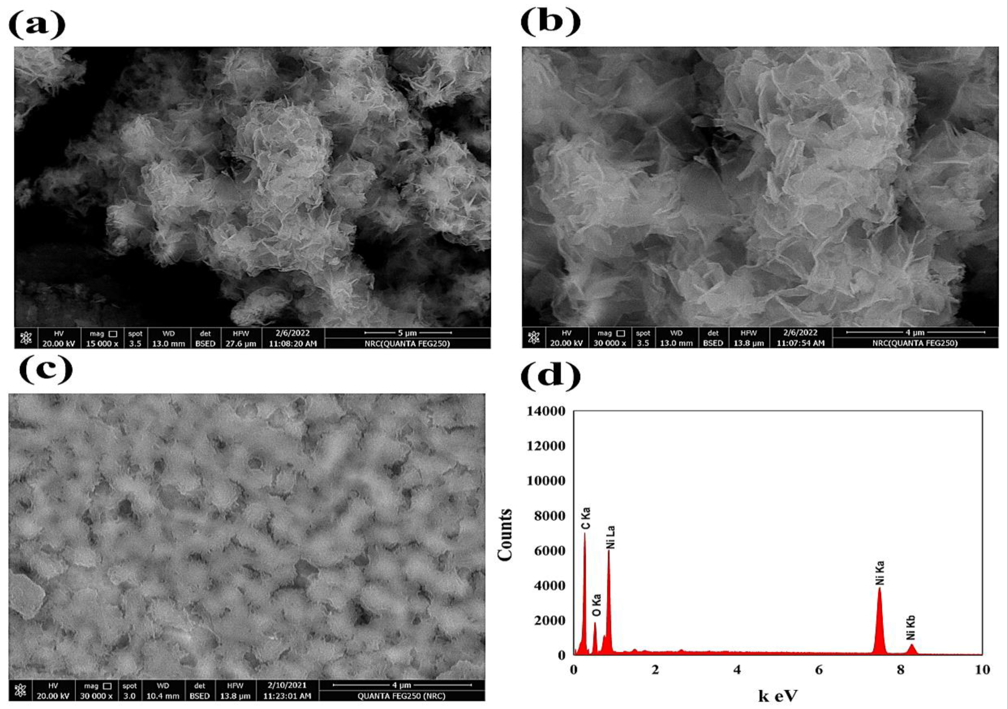 Polymers 15 01804 g002 Polymers 15 01804 g002