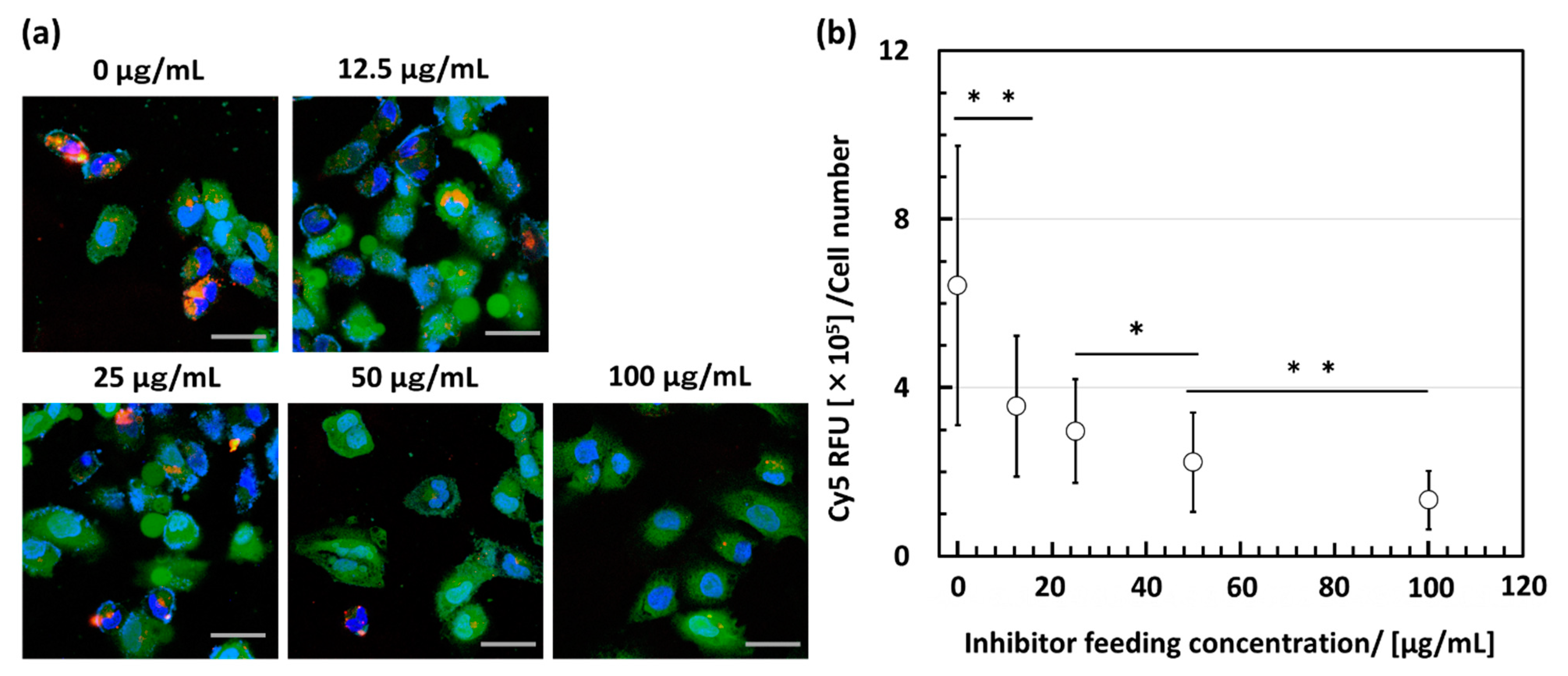 Polymers 15 01808 g003