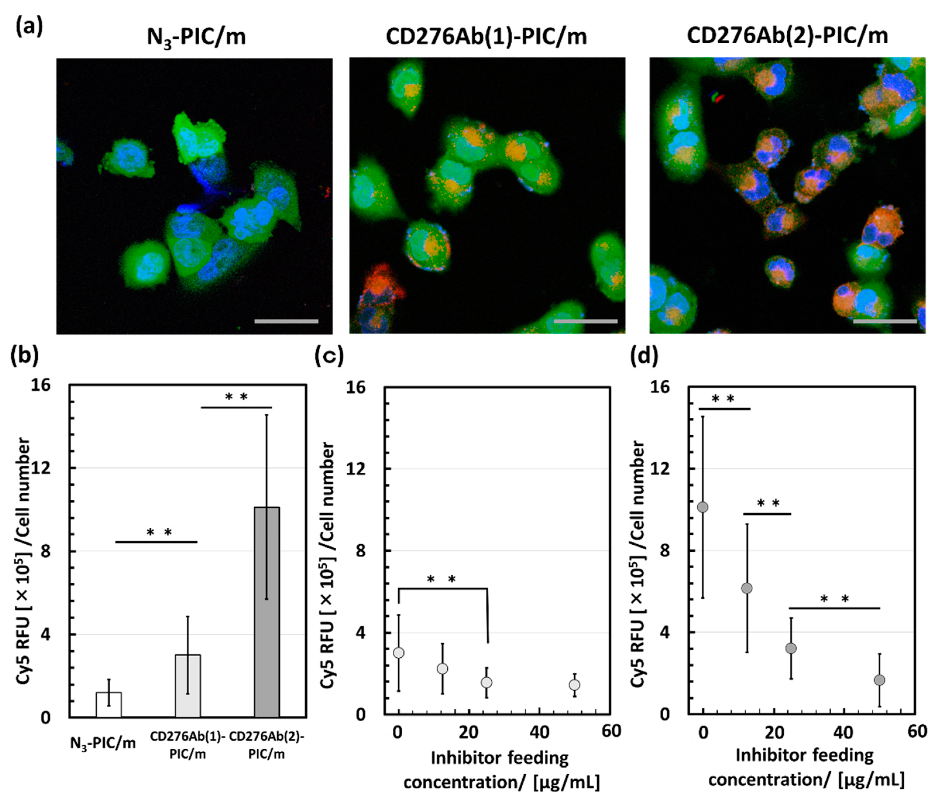 Polymers 15 01808 g005