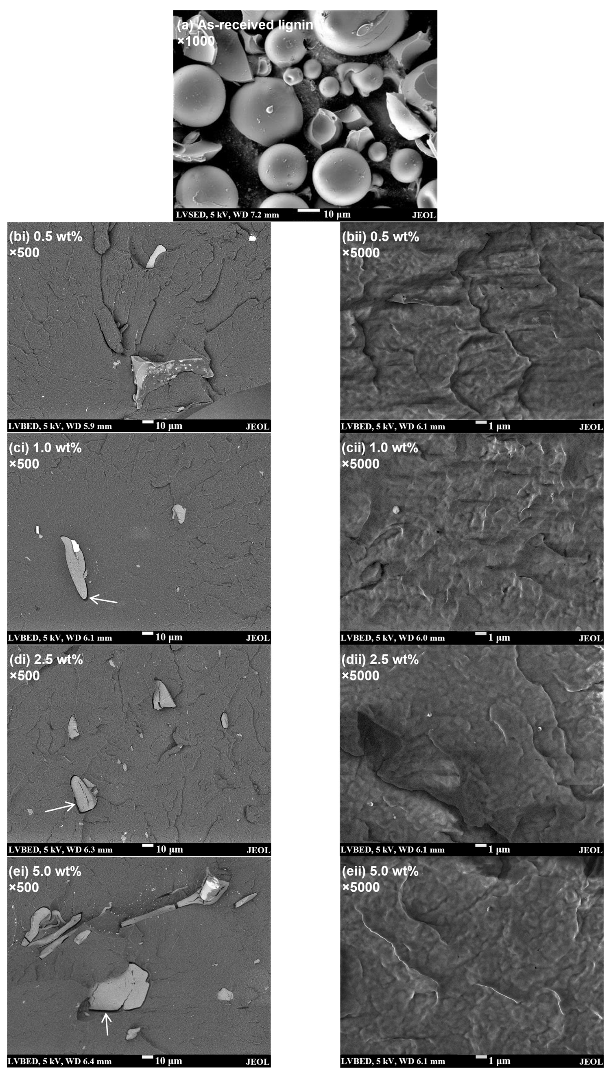 Polymers 15 01813 g001 Polymers 15 01813 g001