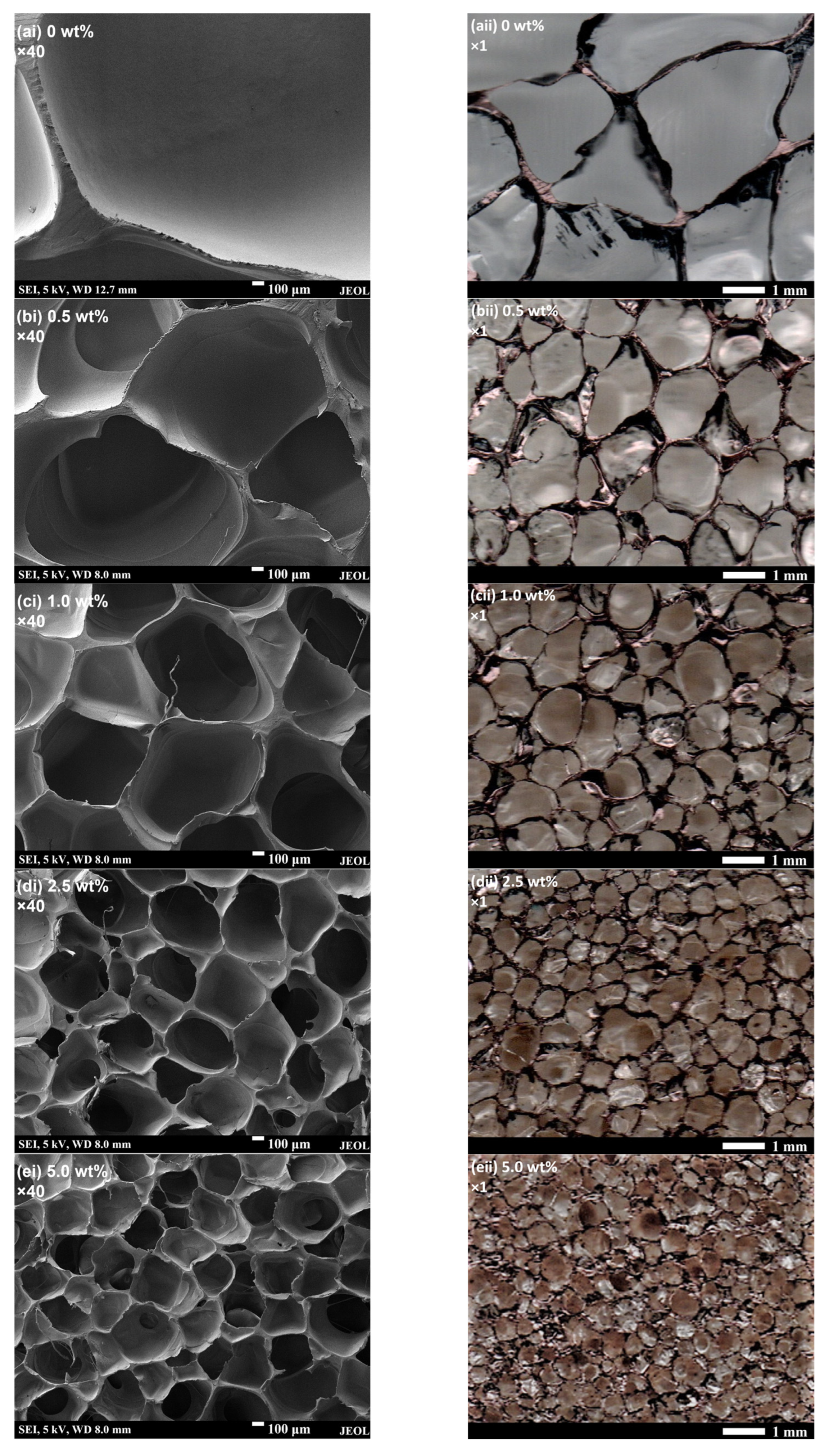 Polymers 15 01813 g005 Polymers 15 01813 g005