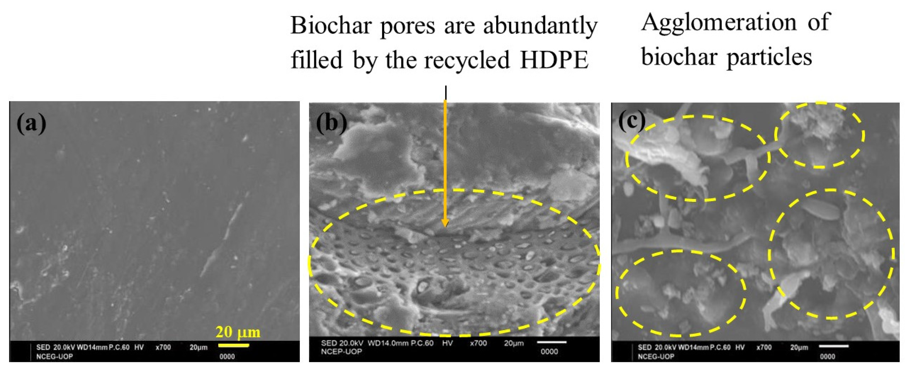 Polymers 15 01827 g003 Polymers 15 01827 g003