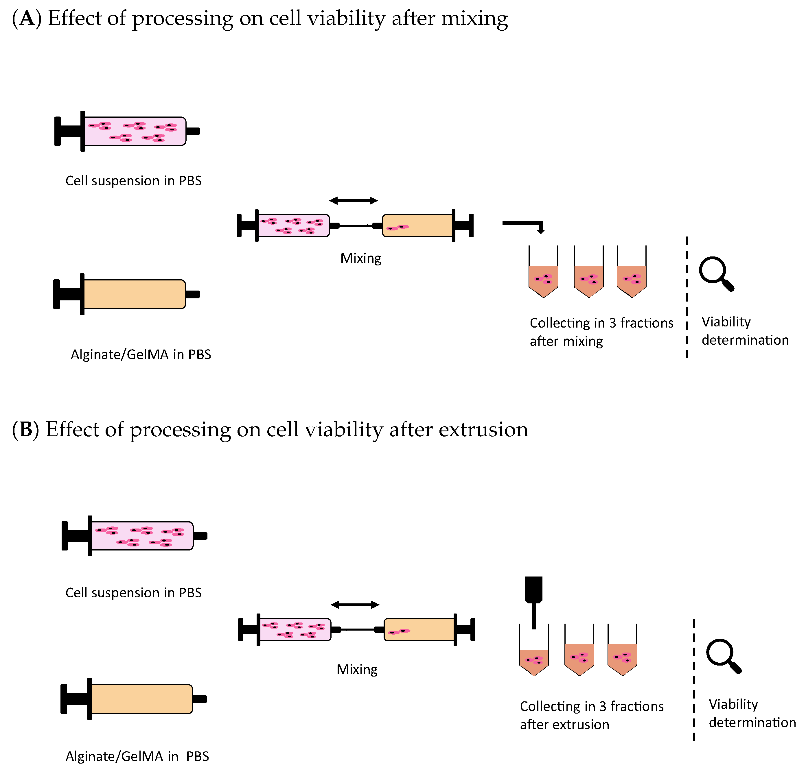 Polymers 15 01829 g002