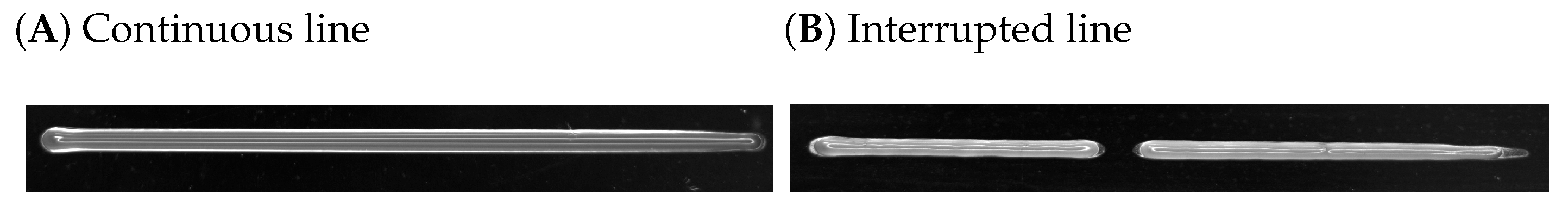 Polymers 15 01829 g005