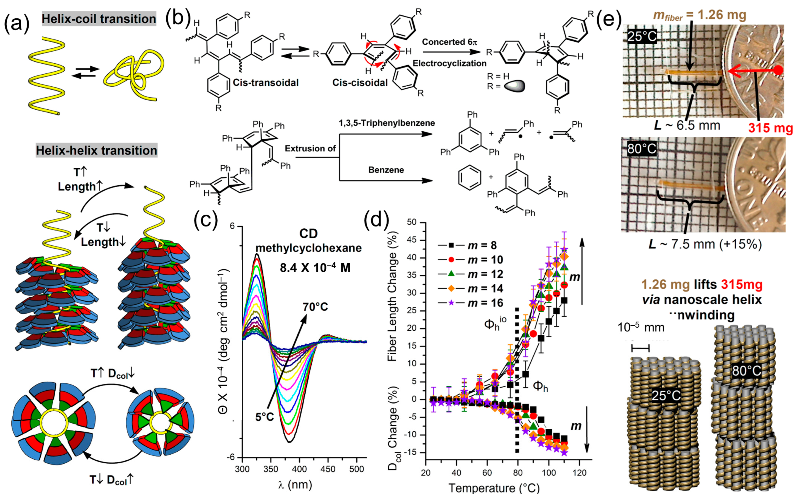 Polymers 15 01832 g017 Polymers 15 01832 g017