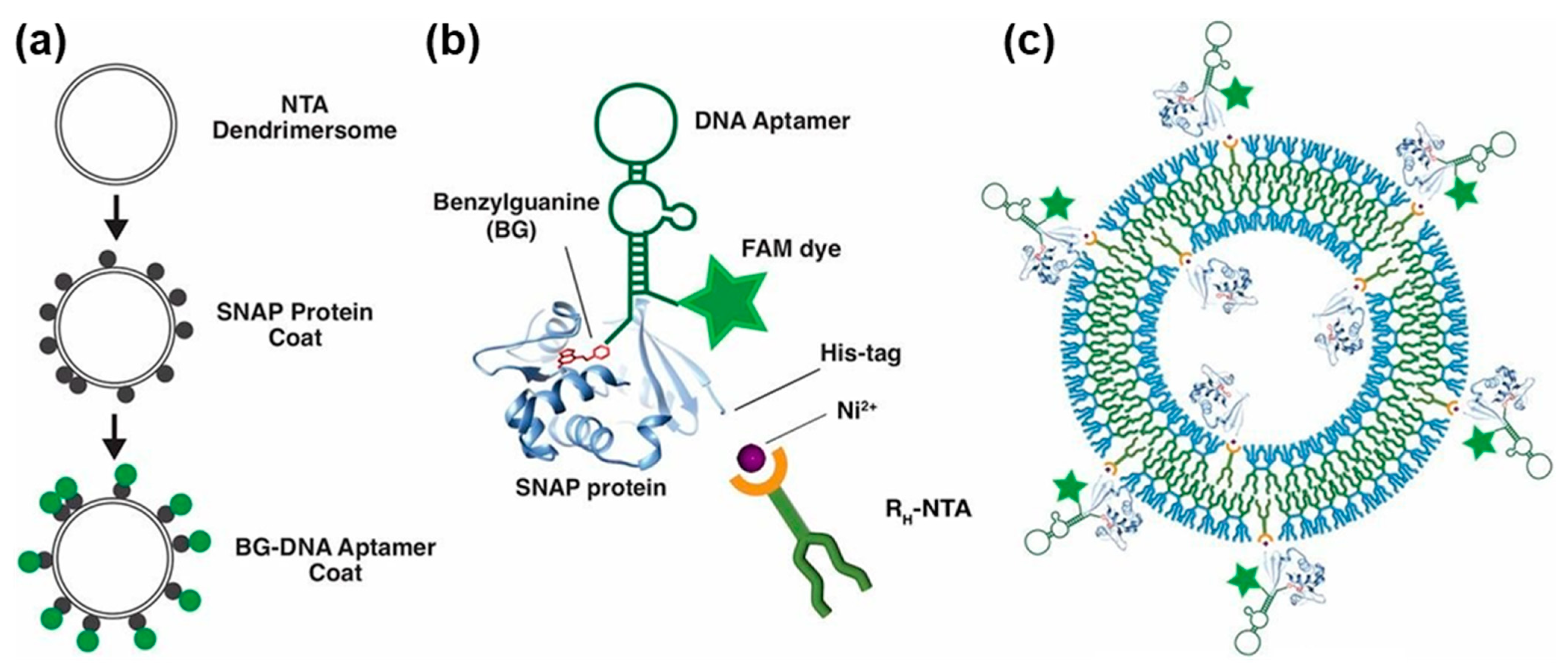 Polymers 15 01832 g022 Polymers 15 01832 g022