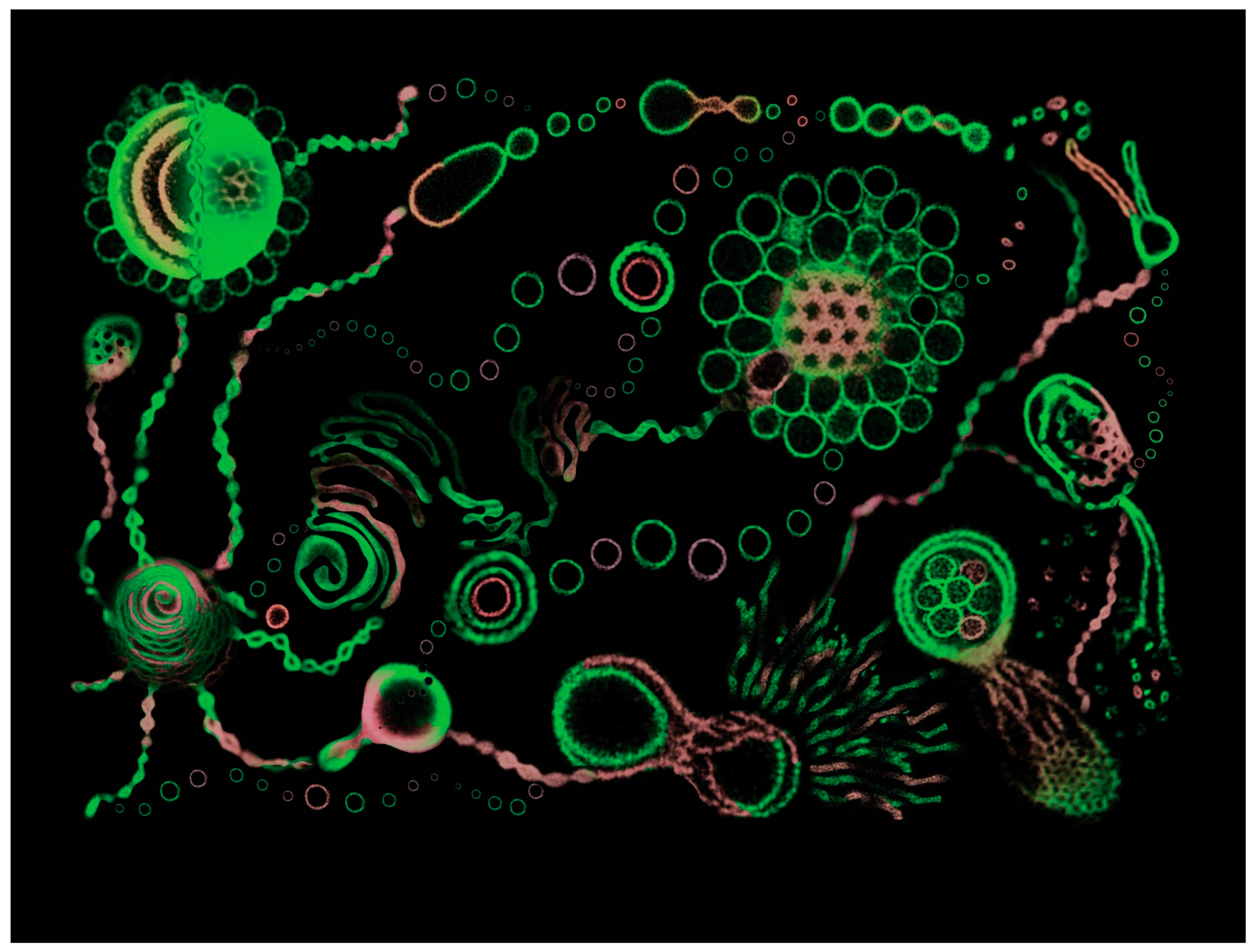 Polymers 15 01832 g028 Polymers 15 01832 g028