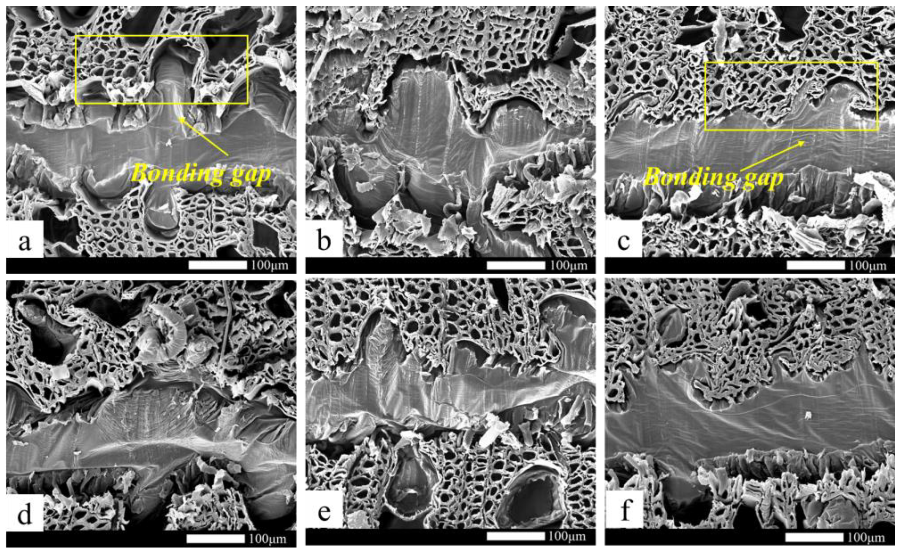 Polymers 15 01834 g004 Polymers 15 01834 g004