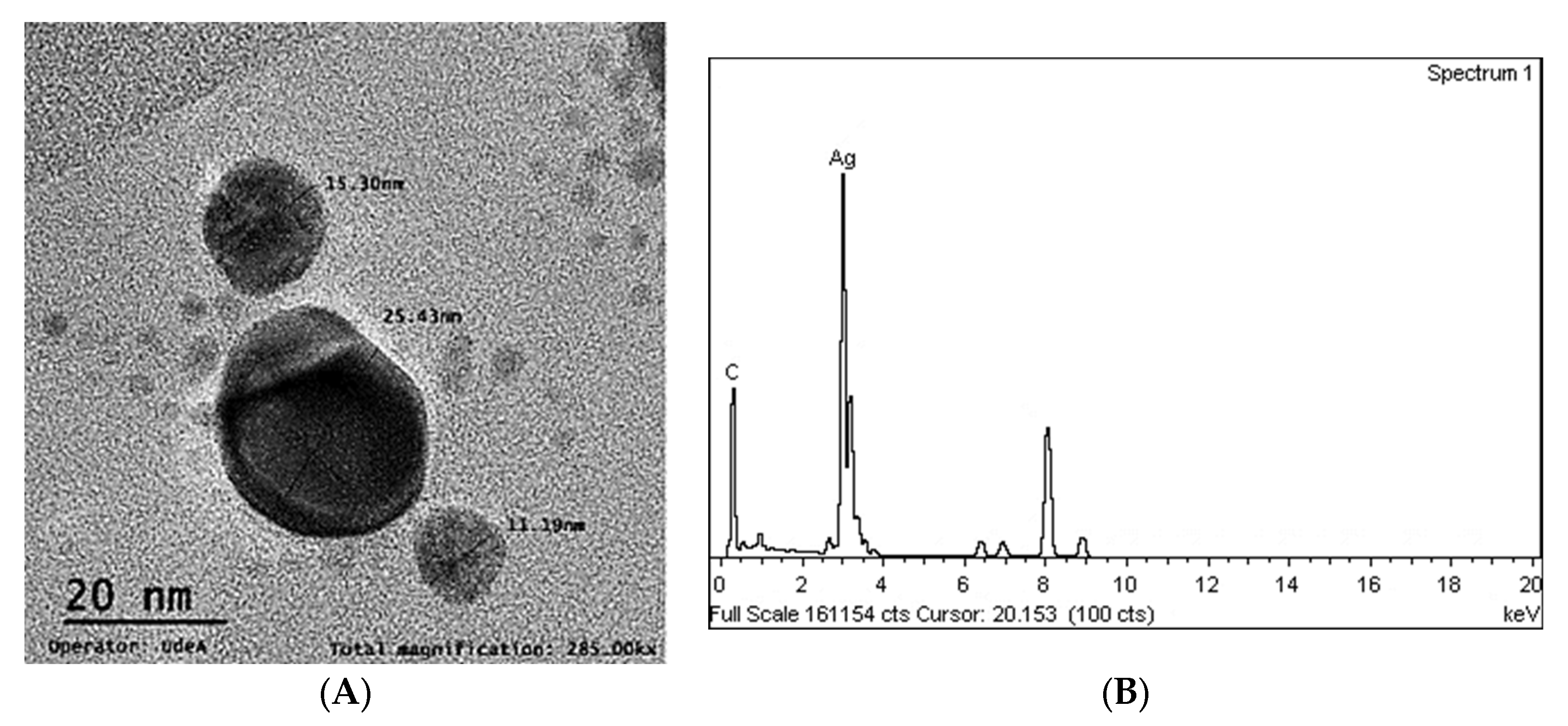 Polymers 15 01838 g003 Polymers 15 01838 g003