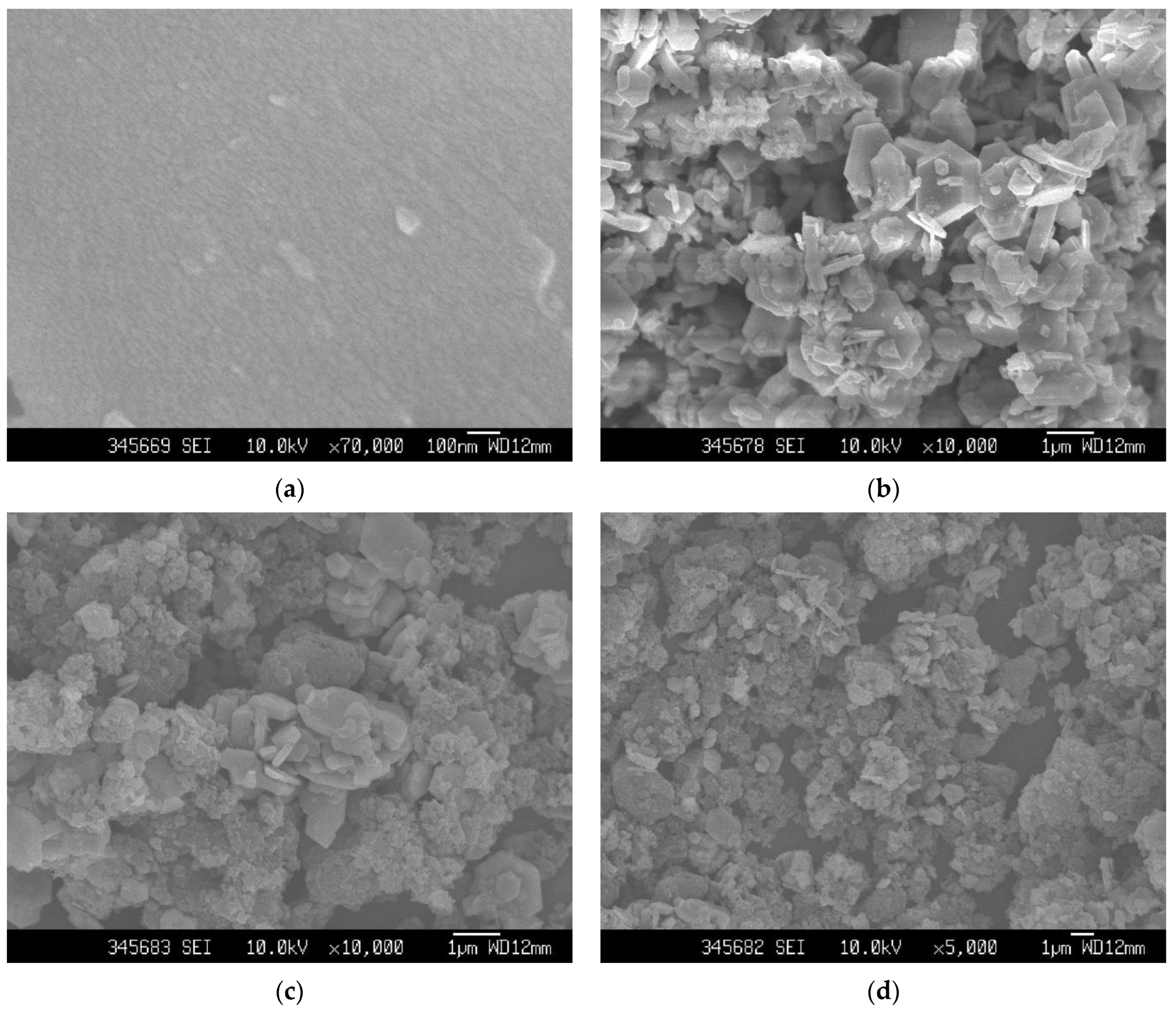 Polymers 15 01839 g004