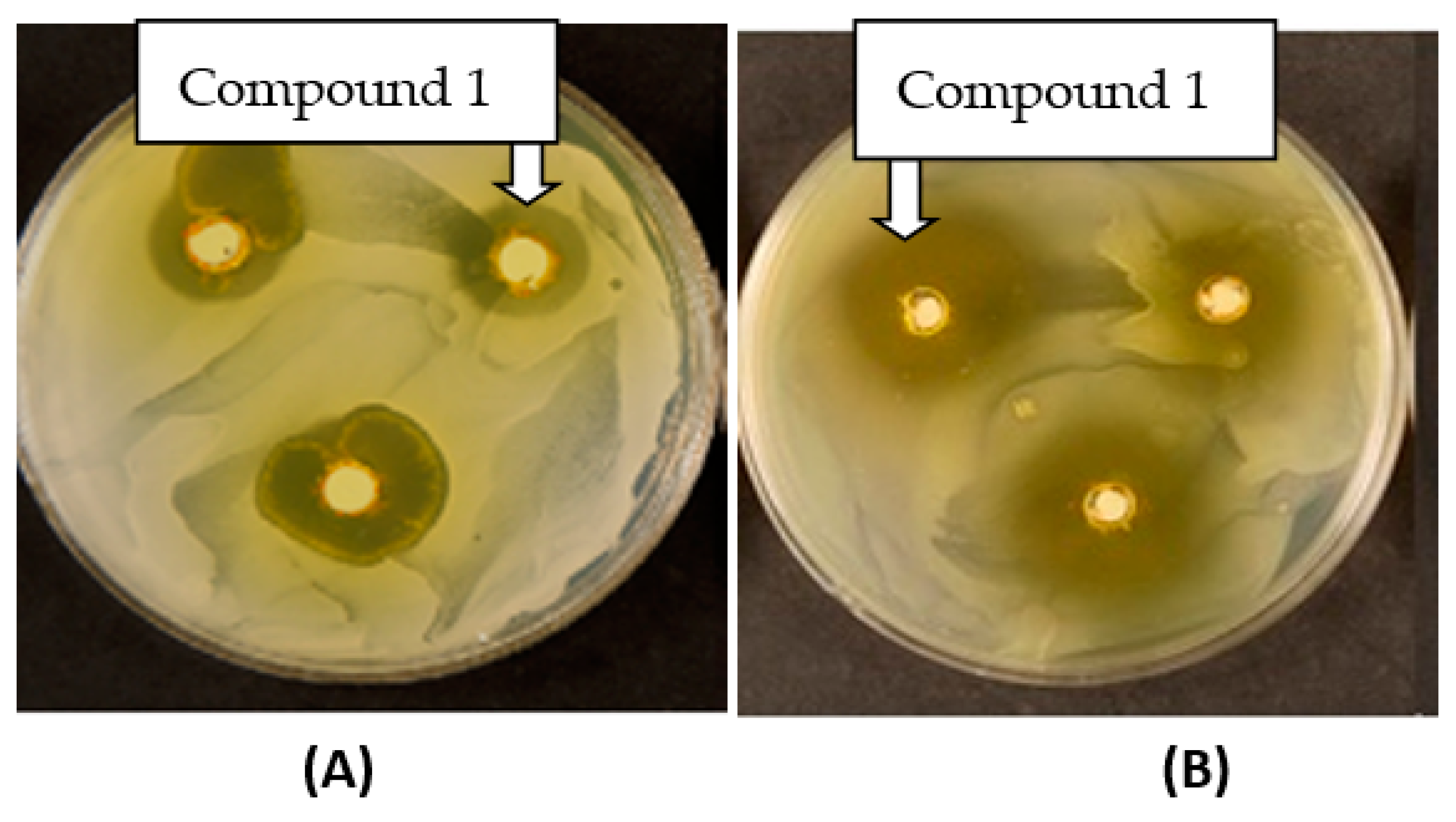 Polymers 15 01845 g008 Polymers 15 01845 g008
