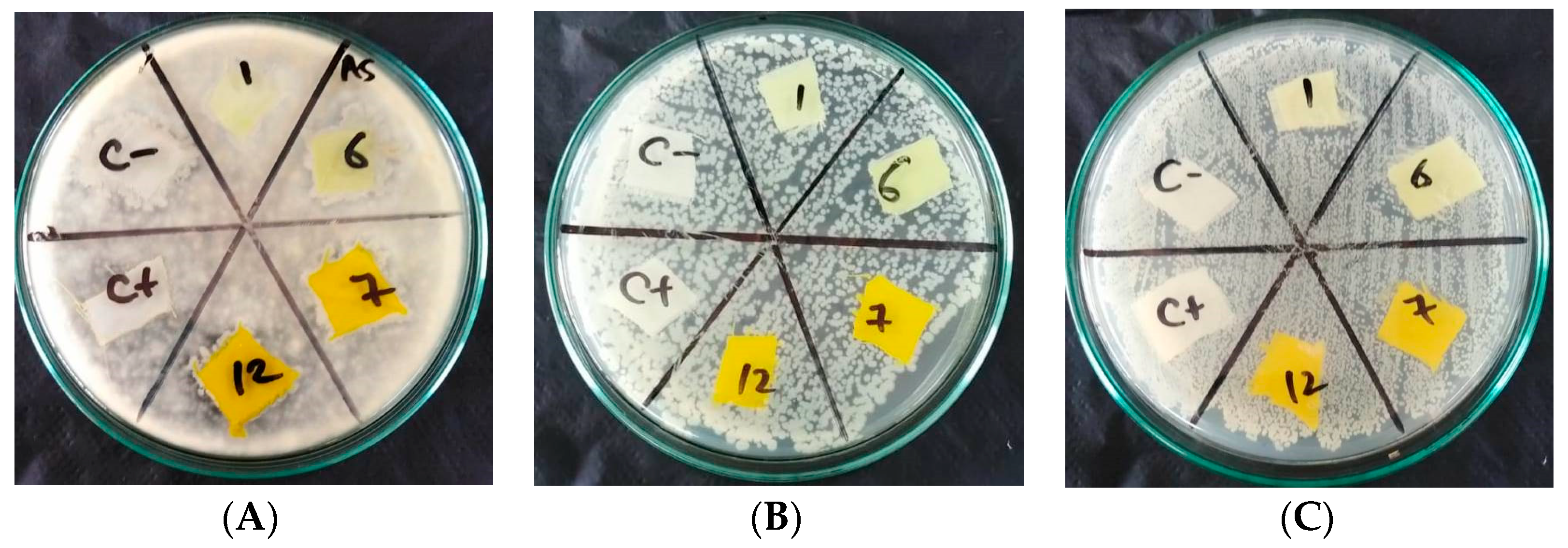 Polymers 15 01845 g011 Polymers 15 01845 g011
