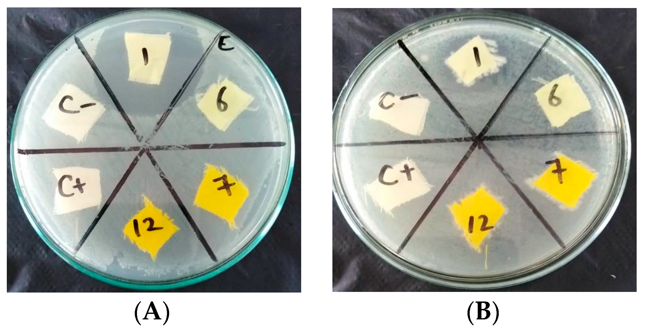 Polymers 15 01845 g012 Polymers 15 01845 g012