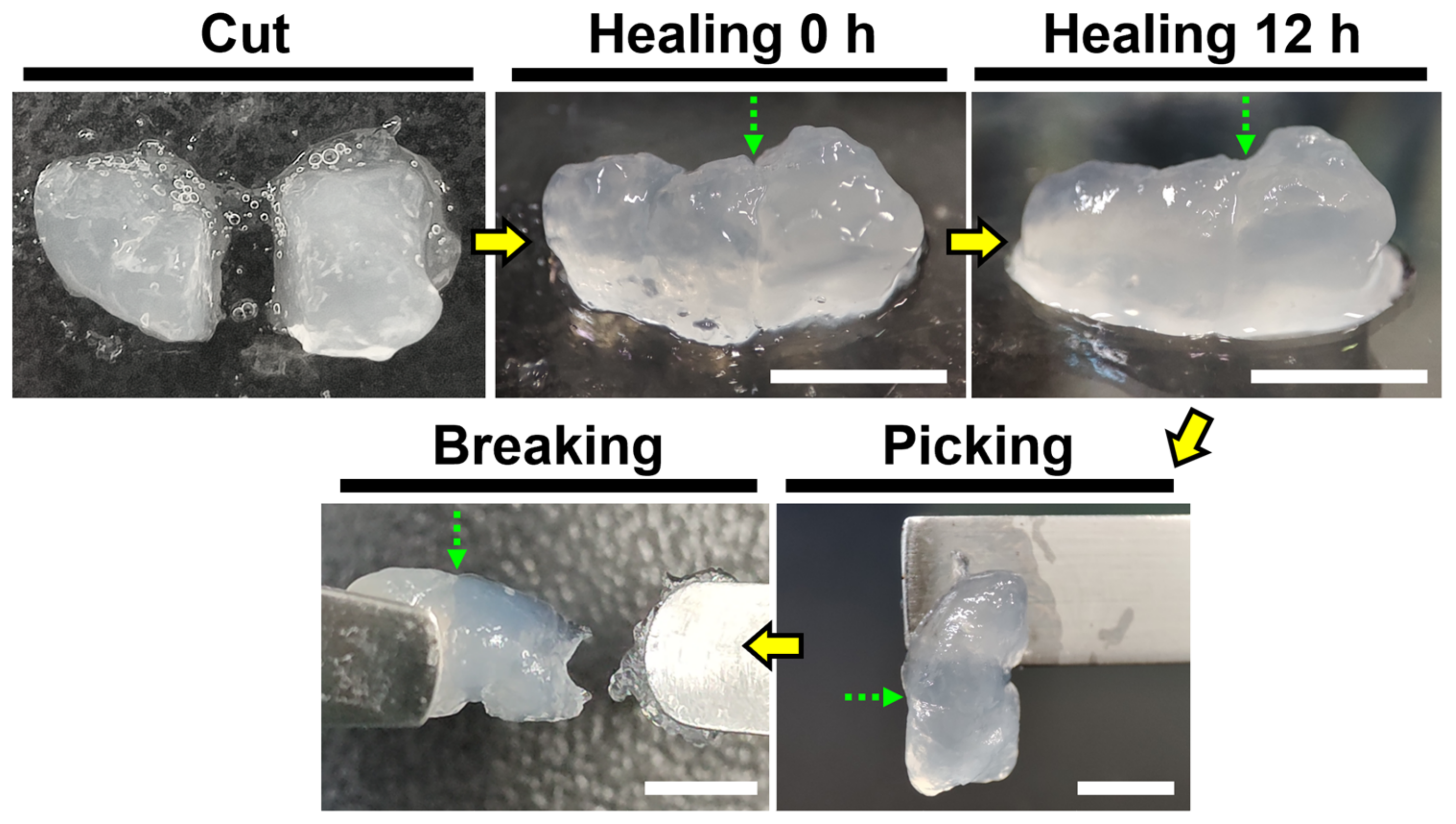 Polymers 15 01855 g003