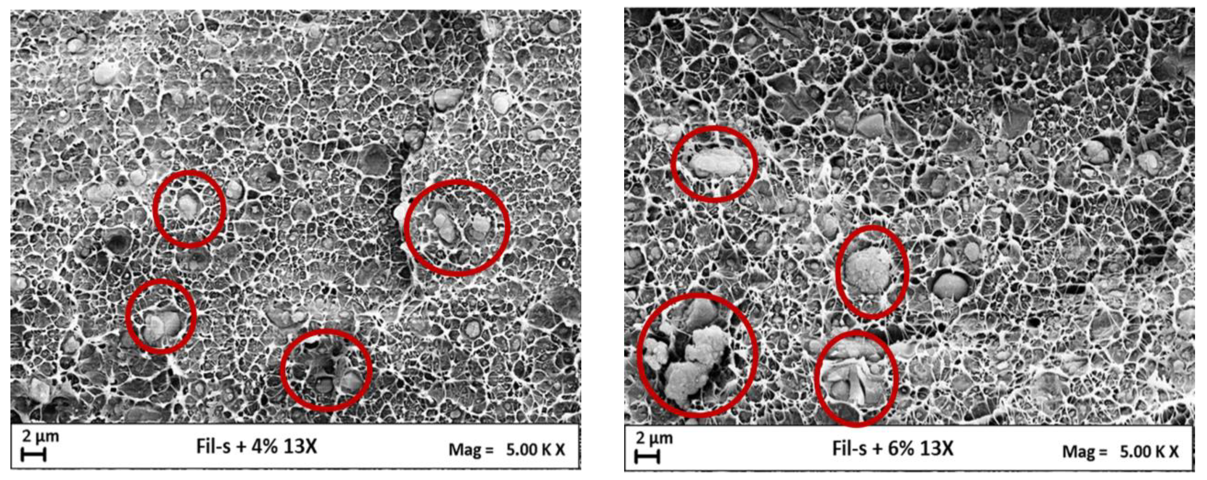 Polymers 15 01858 g011