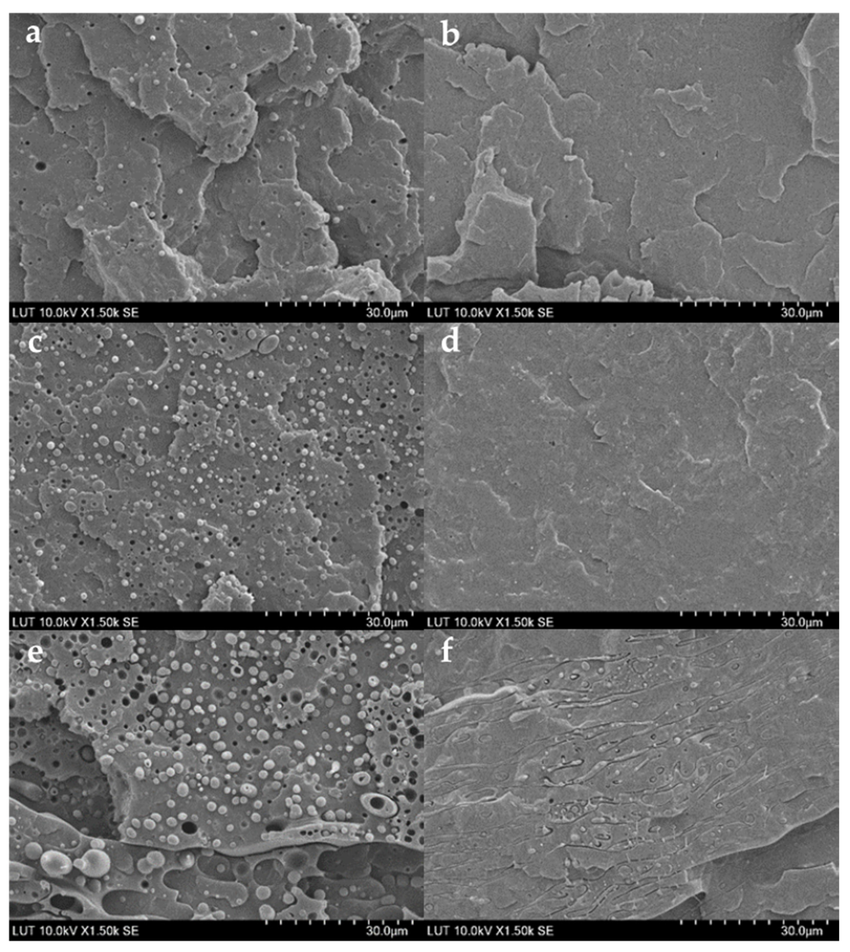 Polymers 15 01859 g004