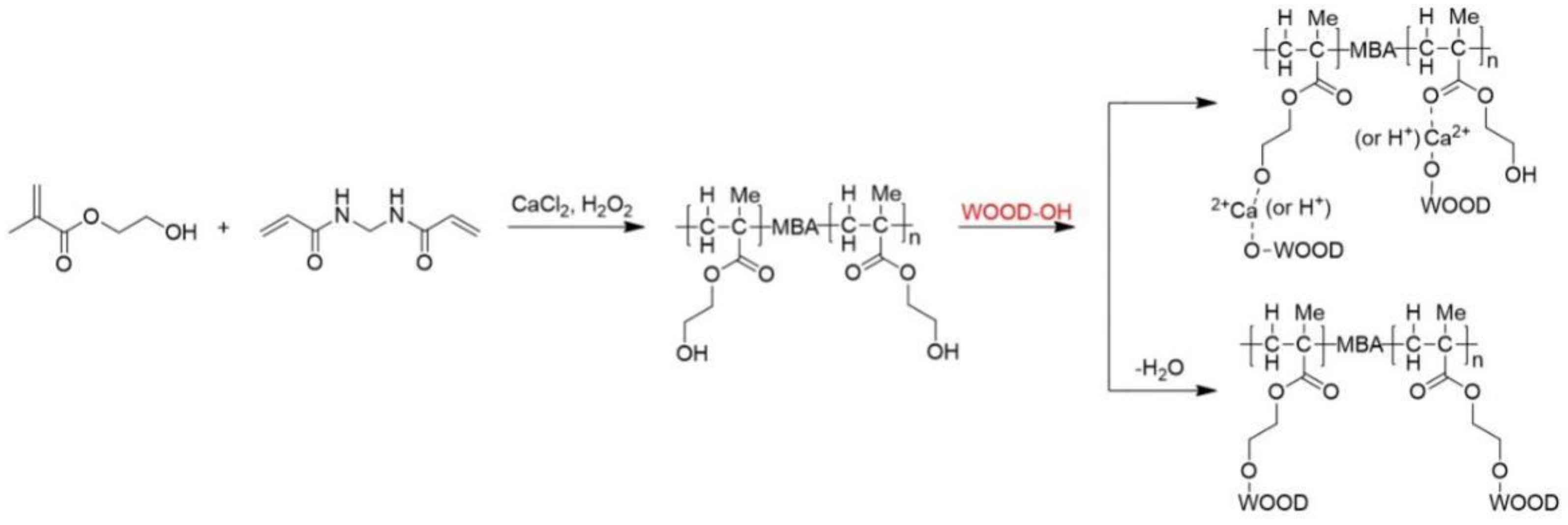 Polymers 15 01861 g004