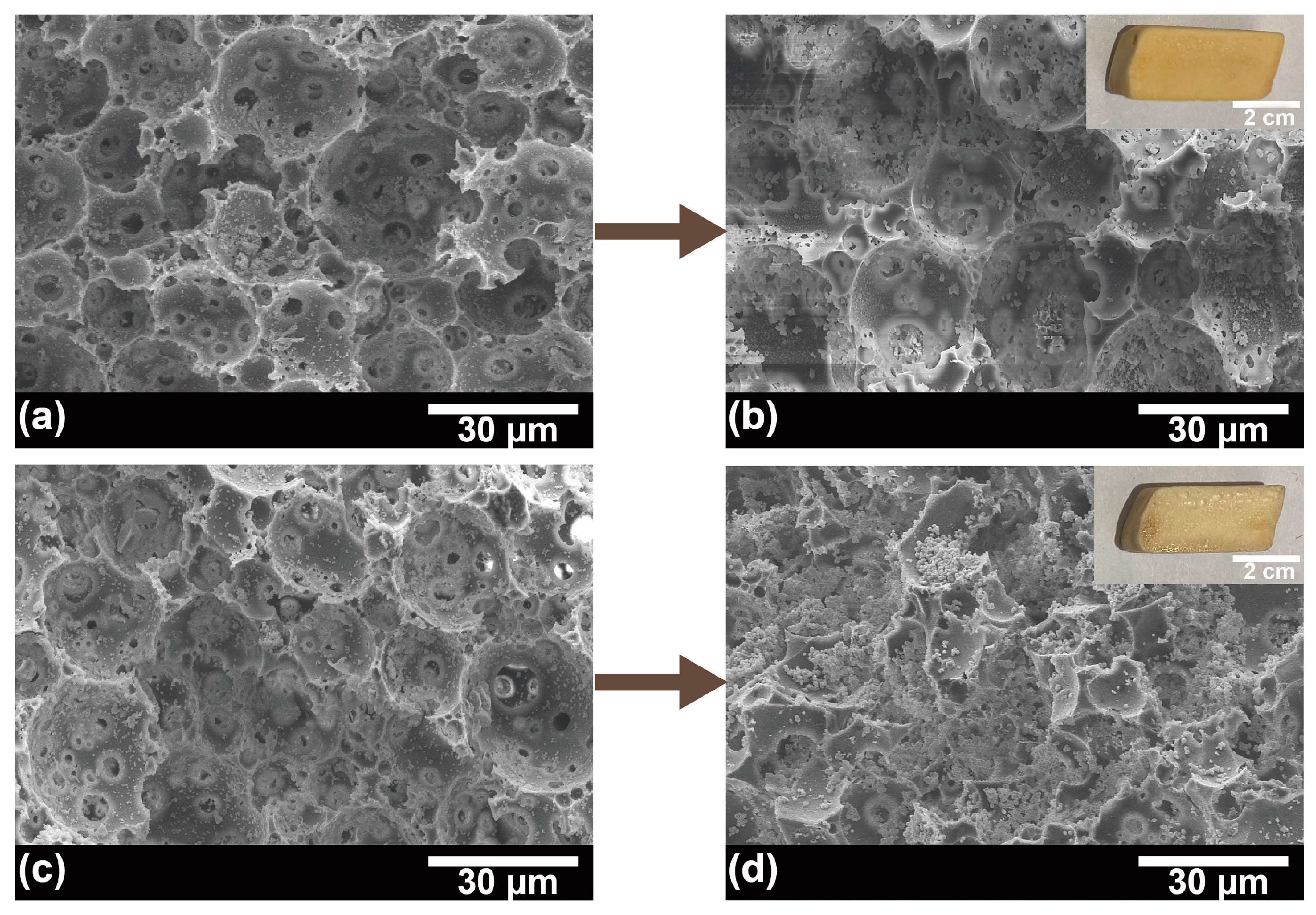 Polymers 15 01862 g007