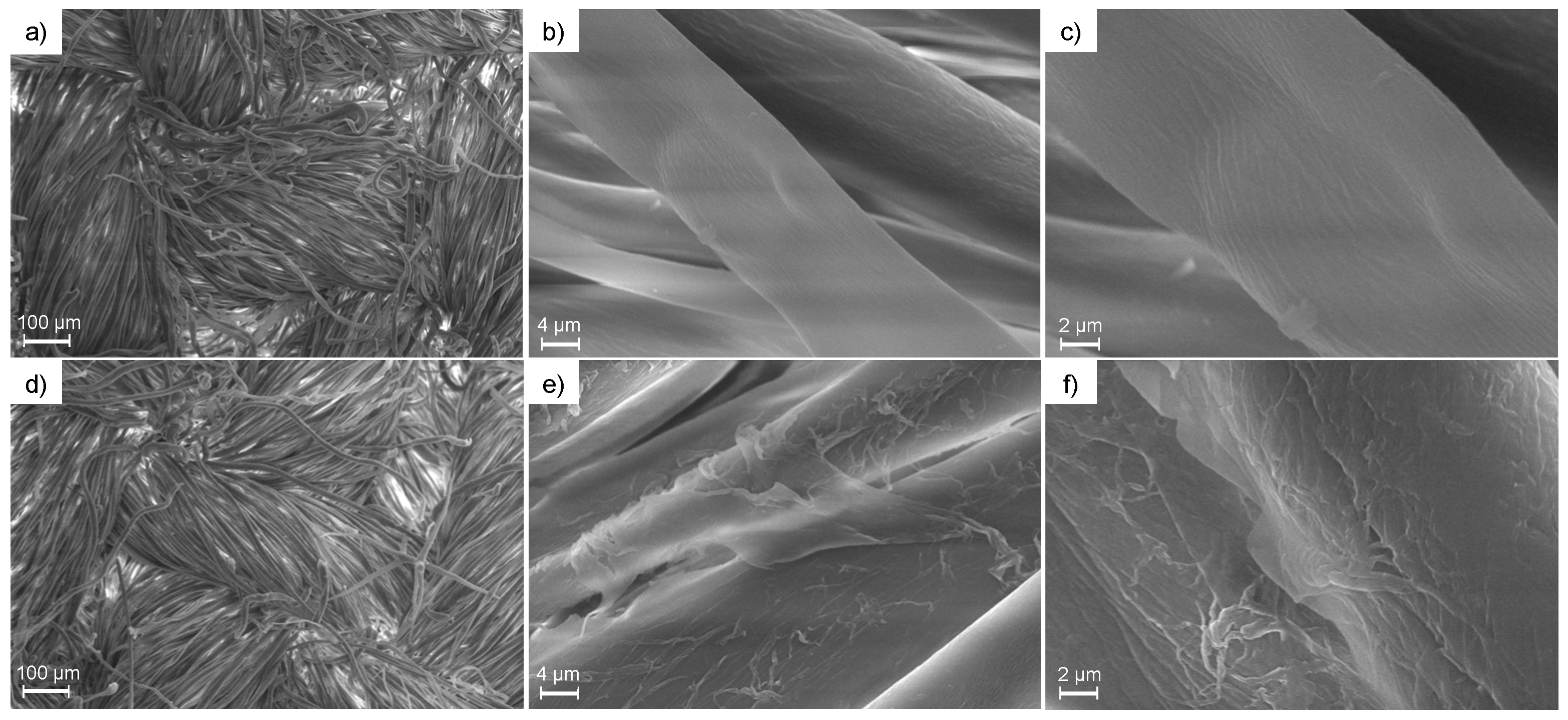 Polymers 15 01869 g002 Polymers 15 01869 g002