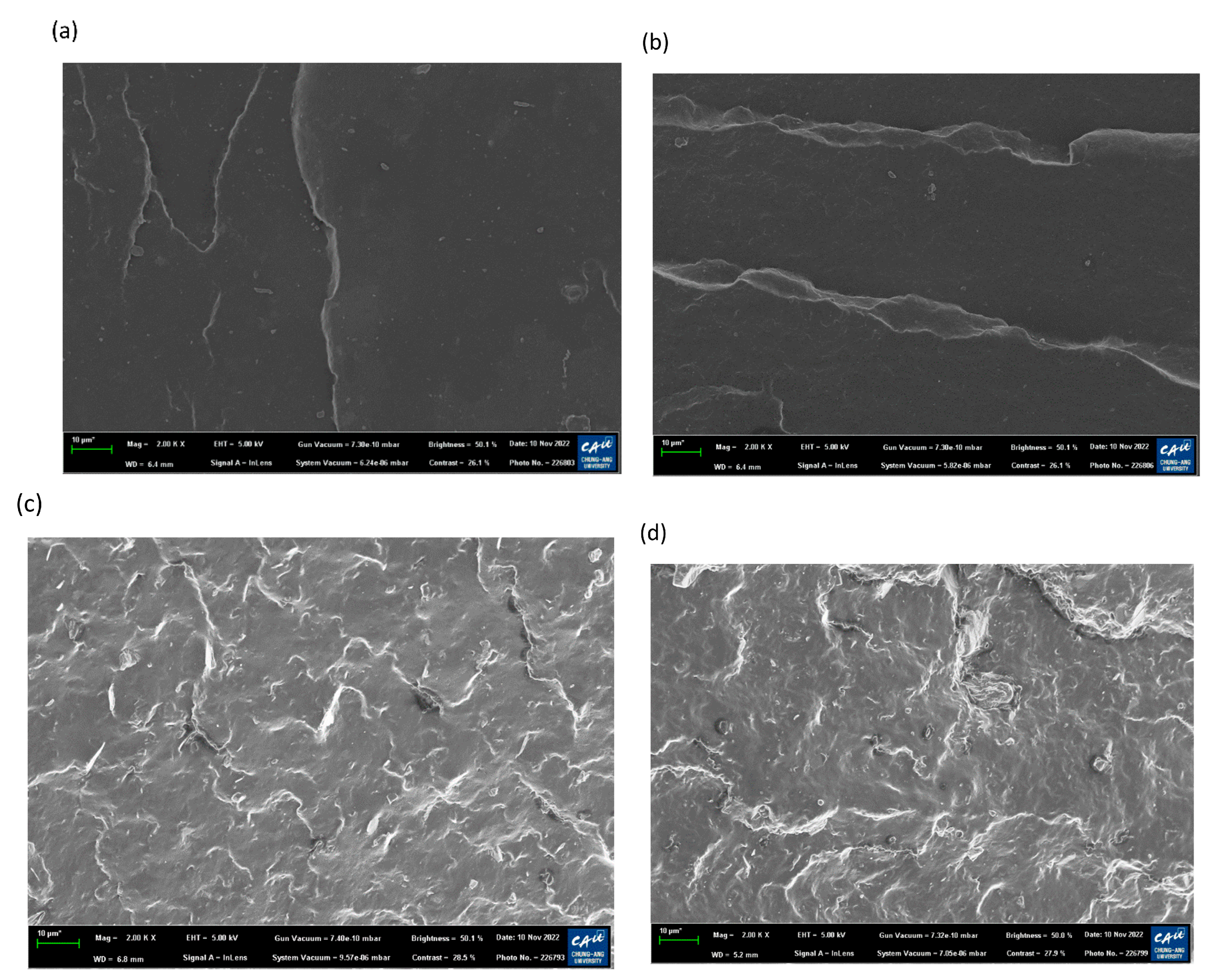 Polymers 15 01872 g006