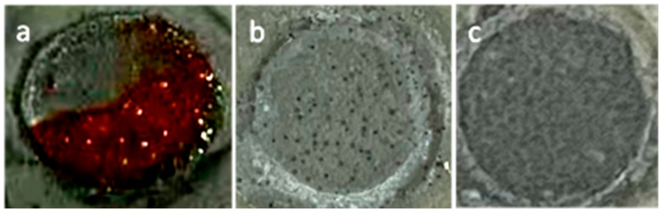Polymers 15 01873 g011