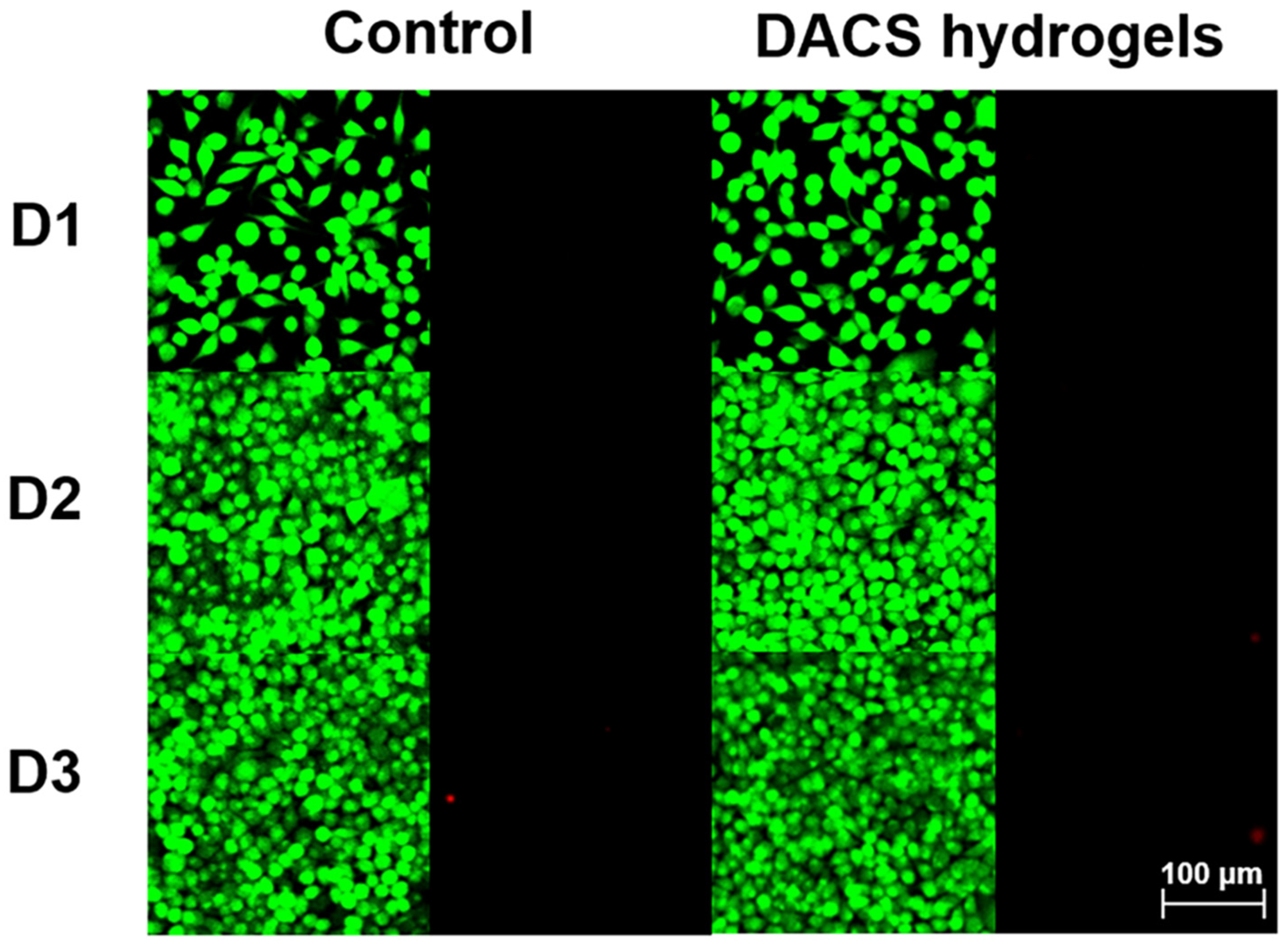 Polymers 15 01876 g006