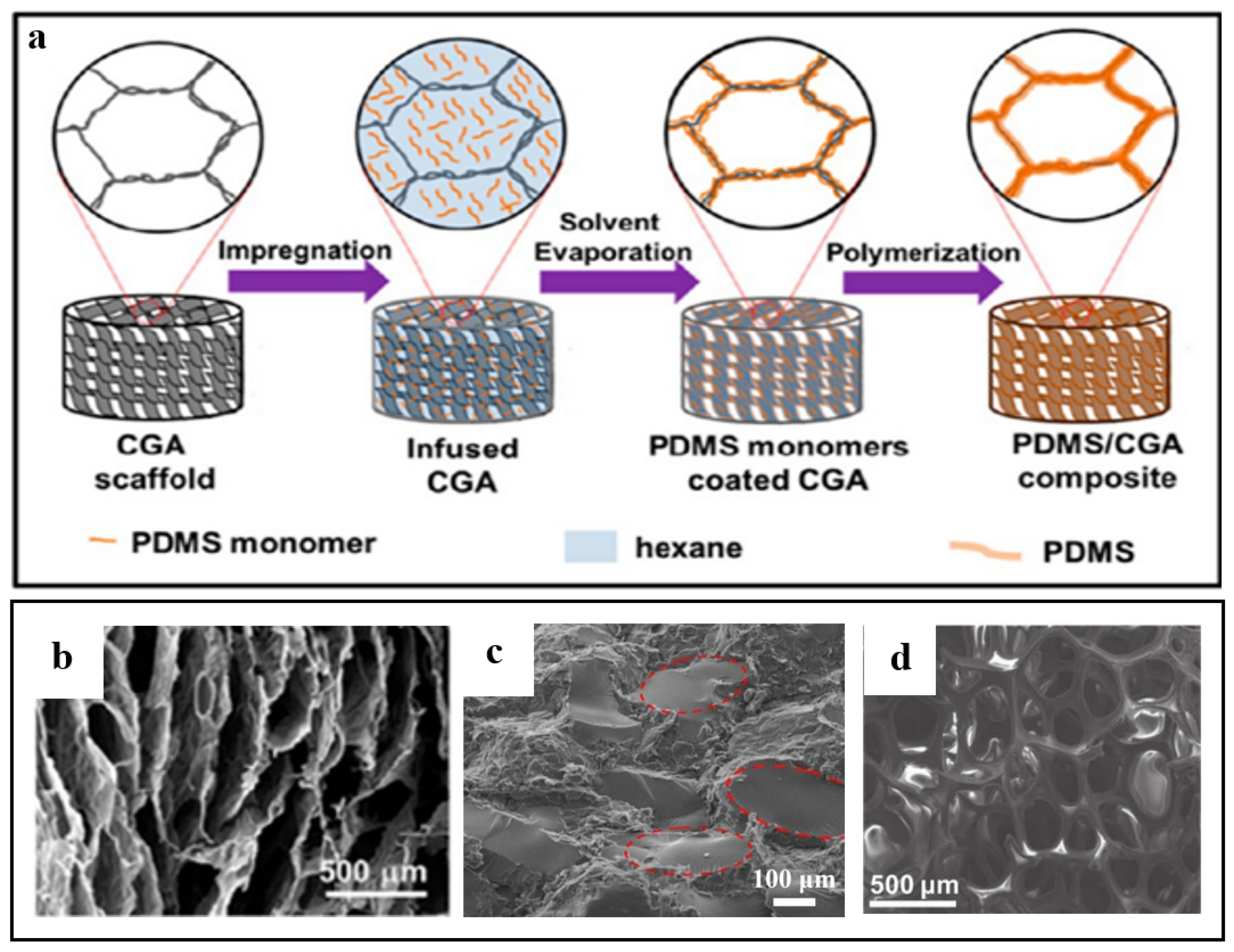 Polymers 15 01888 g004 Polymers 15 01888 g004